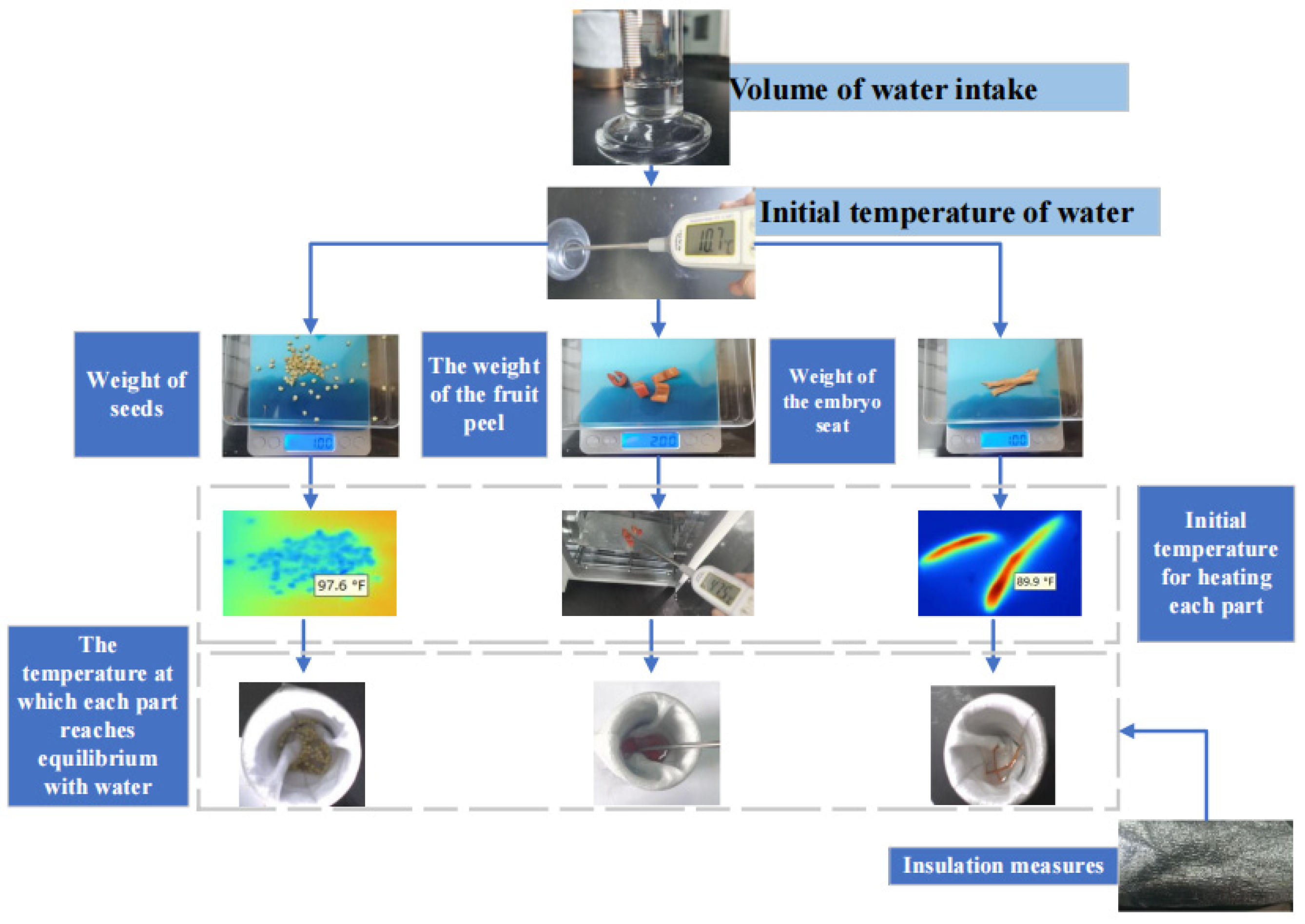 Agronomy 15 02024 g006 Agronomy 15 02024 g006