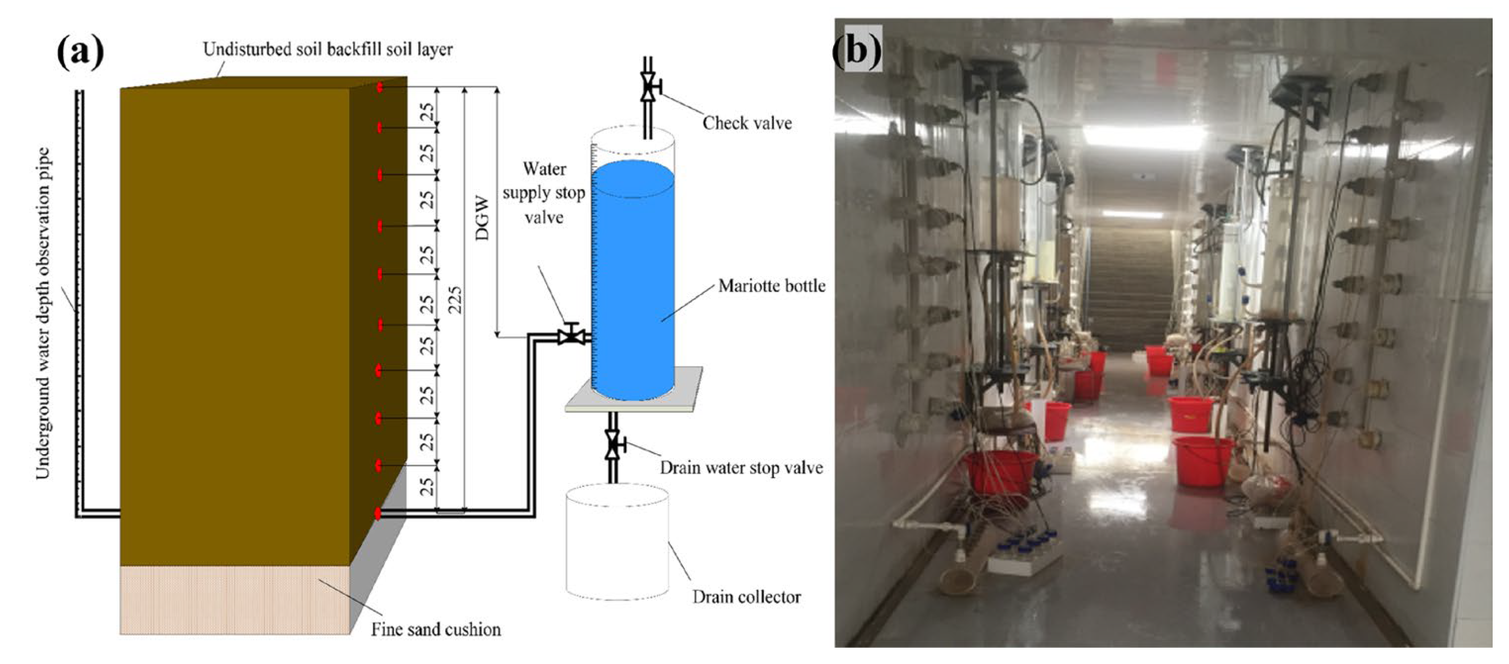 Agronomy 15 02025 g002 Agronomy 15 02025 g002
