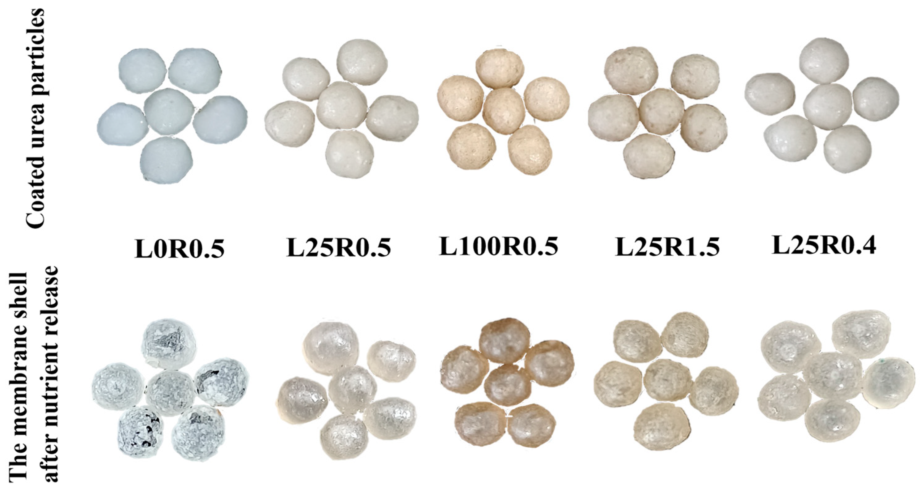 Agronomy 15 02030 g001