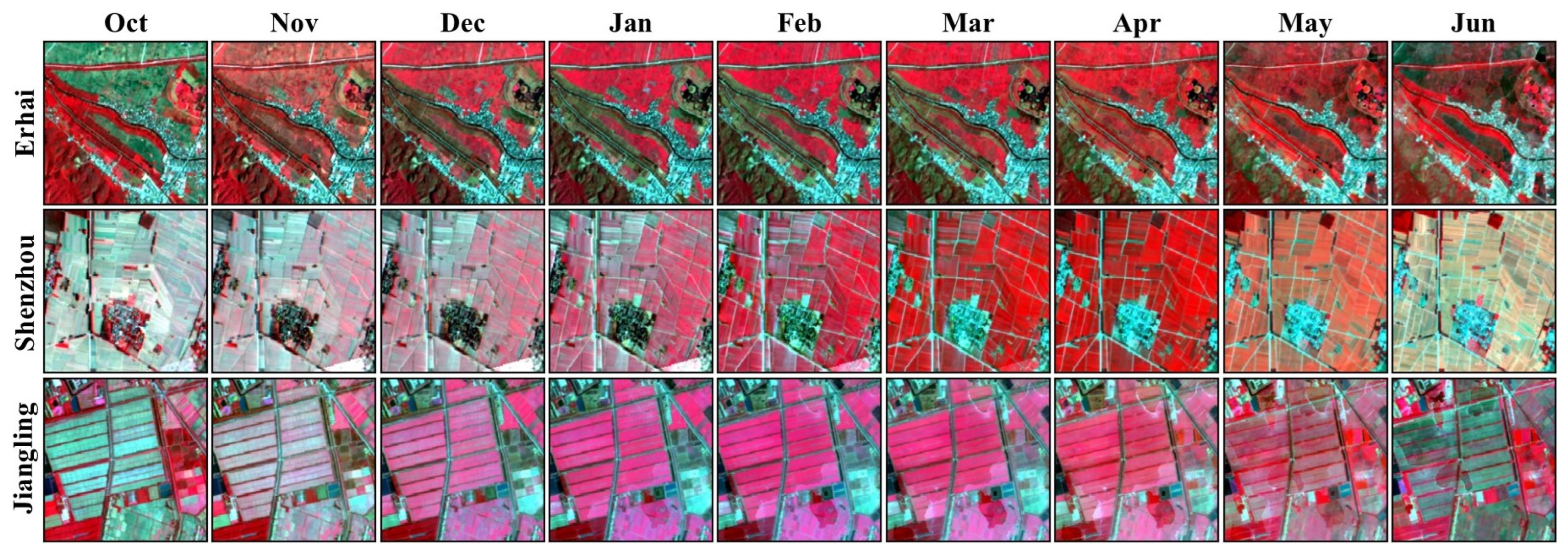 Agronomy 15 02034 g005