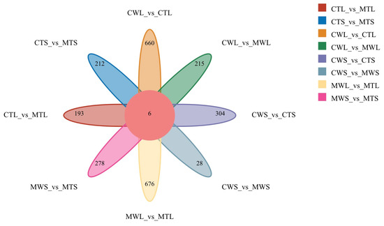 Genome-Wide Identification of Petunia Hsp20 Gene Family and