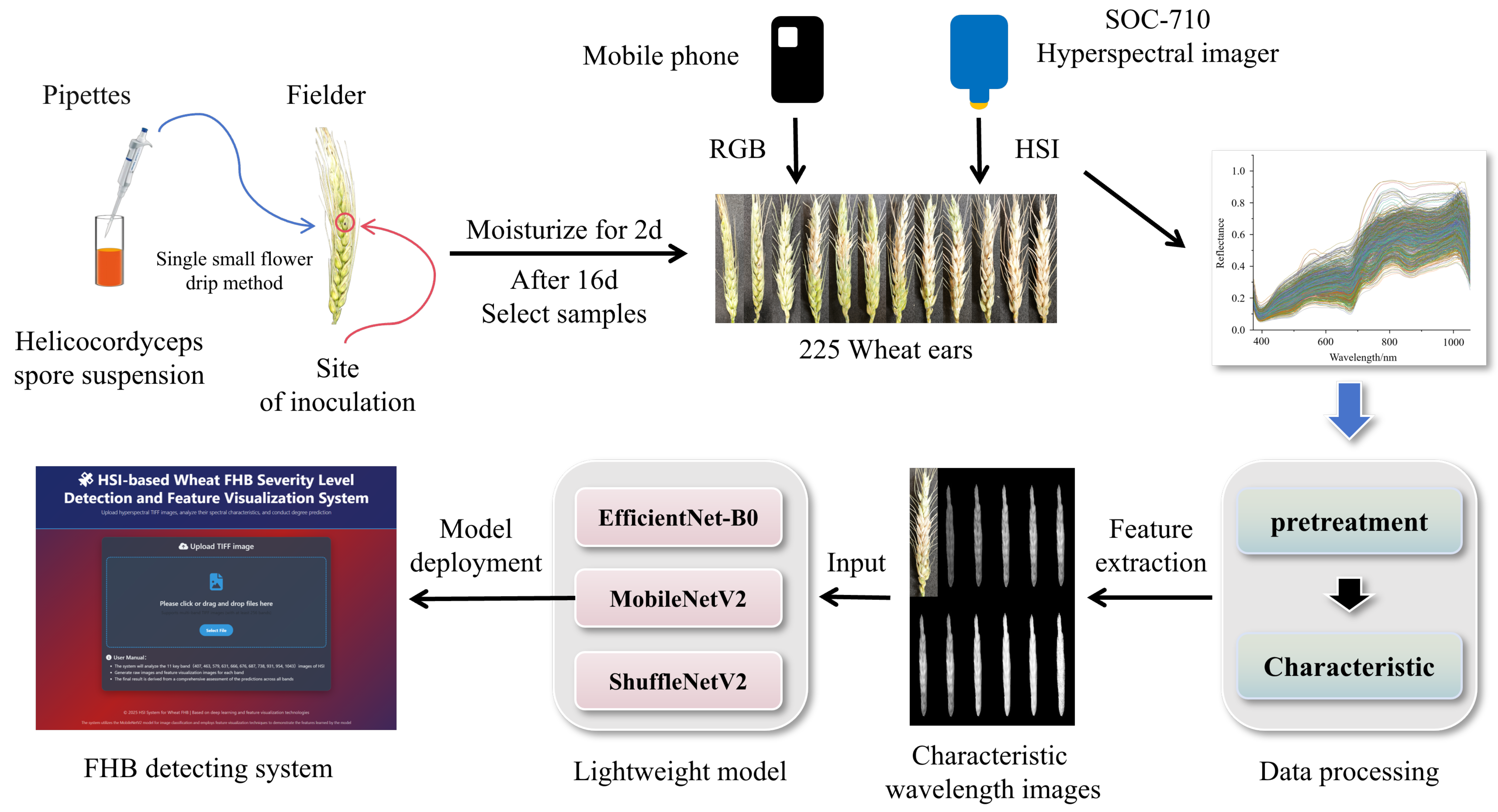 Agronomy 15 02051 g001