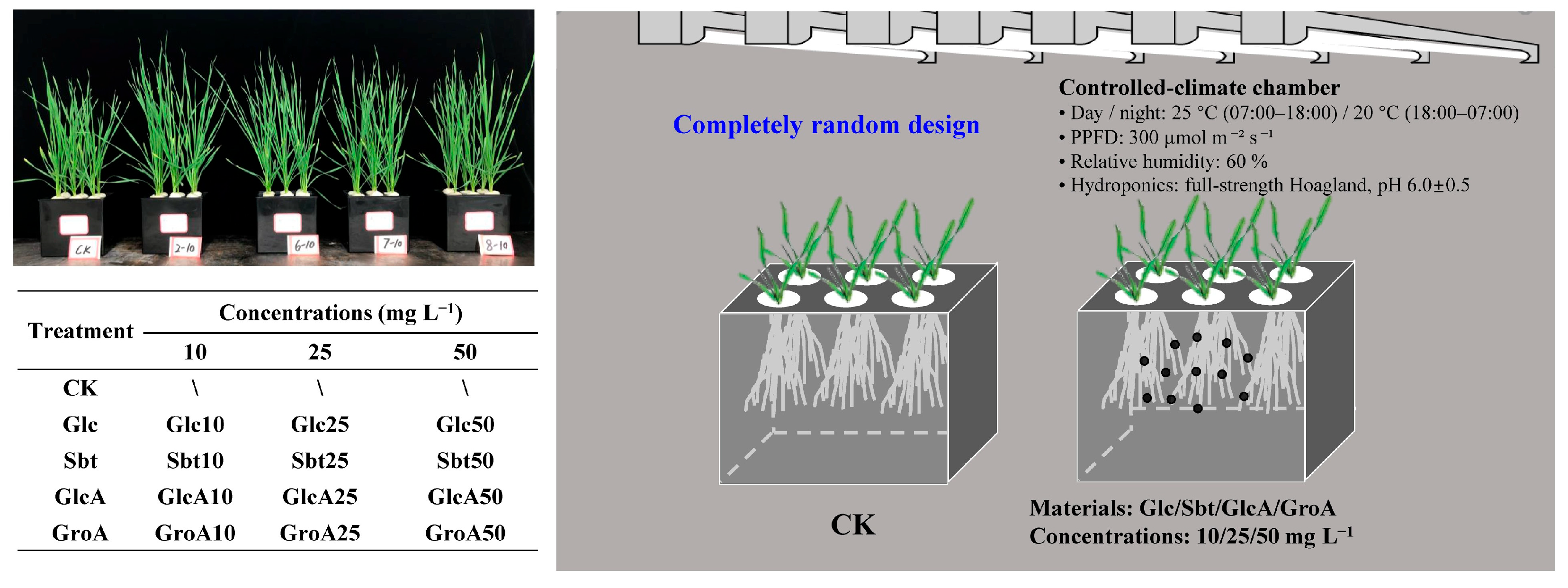 Agronomy 15 02054 g001 Agronomy 15 02054 g001