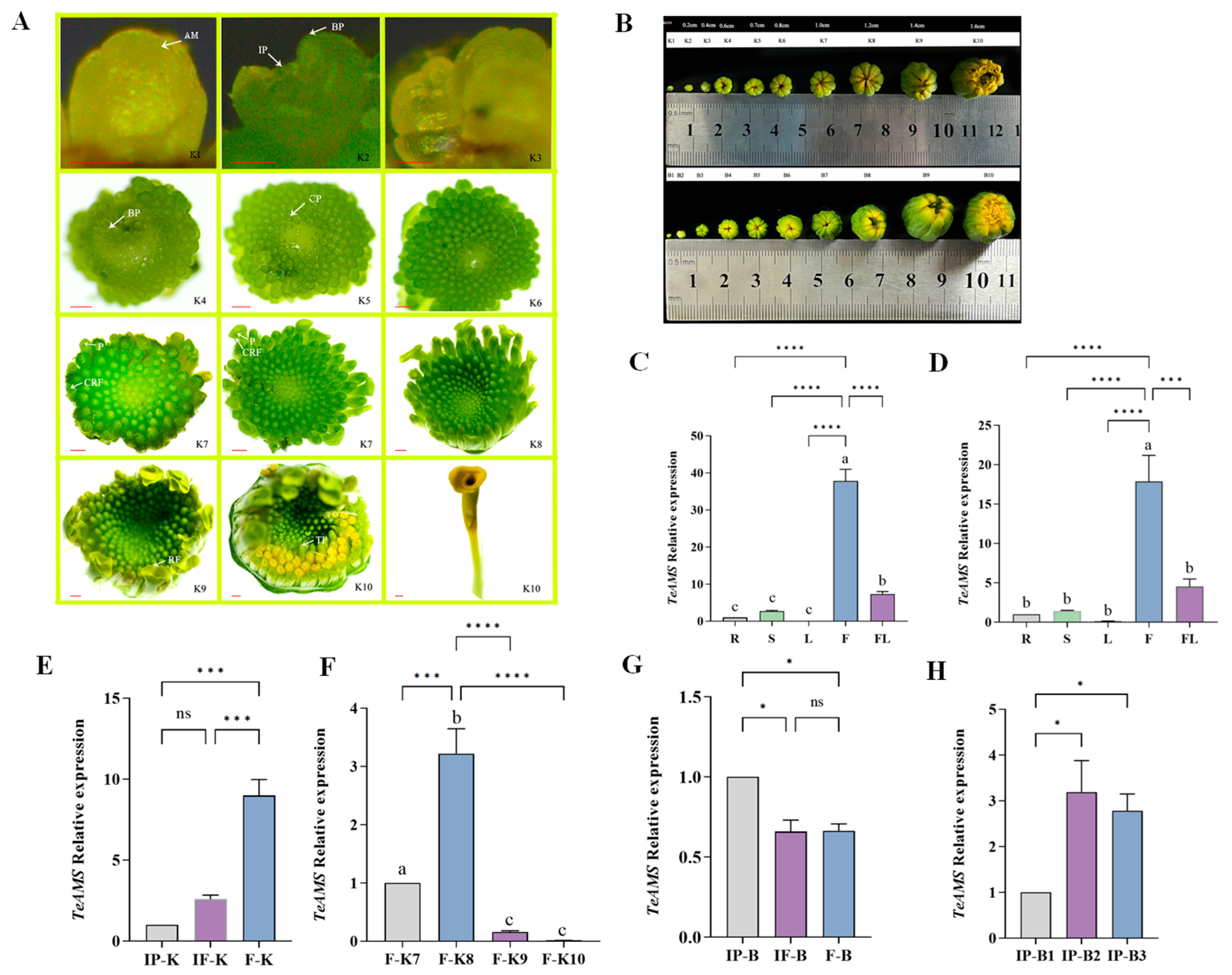 Agronomy 15 02058 g001 Agronomy 15 02058 g001