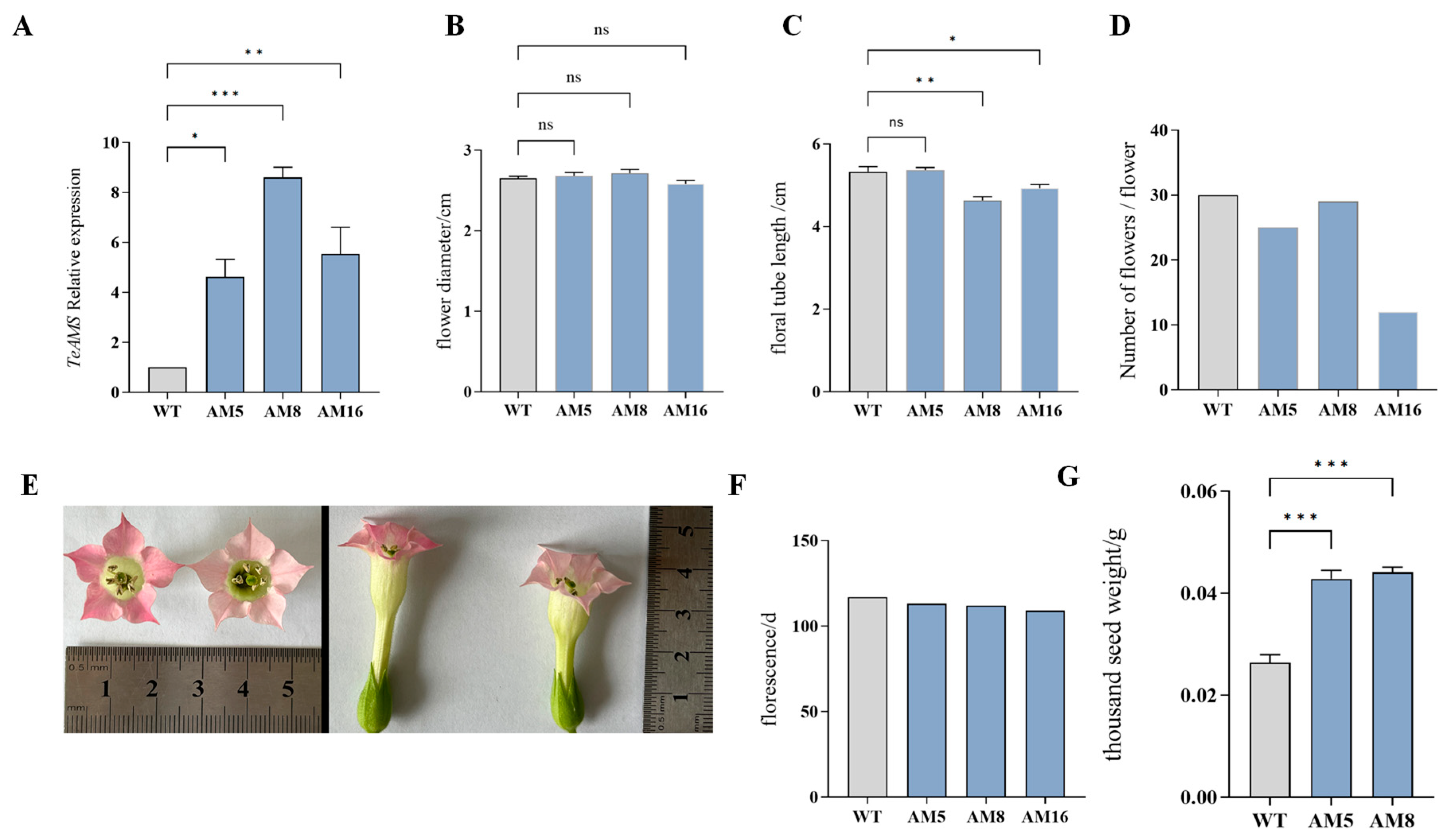 Agronomy 15 02058 g005 Agronomy 15 02058 g005