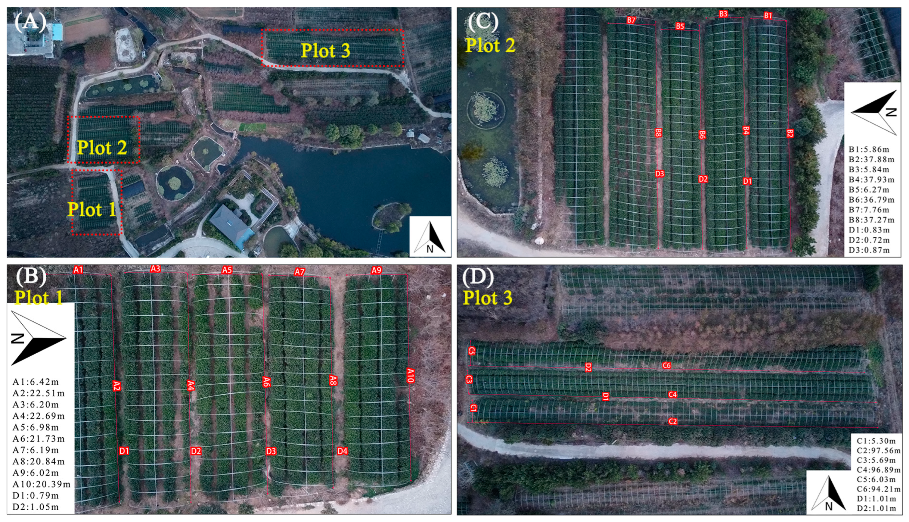 Agronomy 15 02062 g001 Agronomy 15 02062 g001