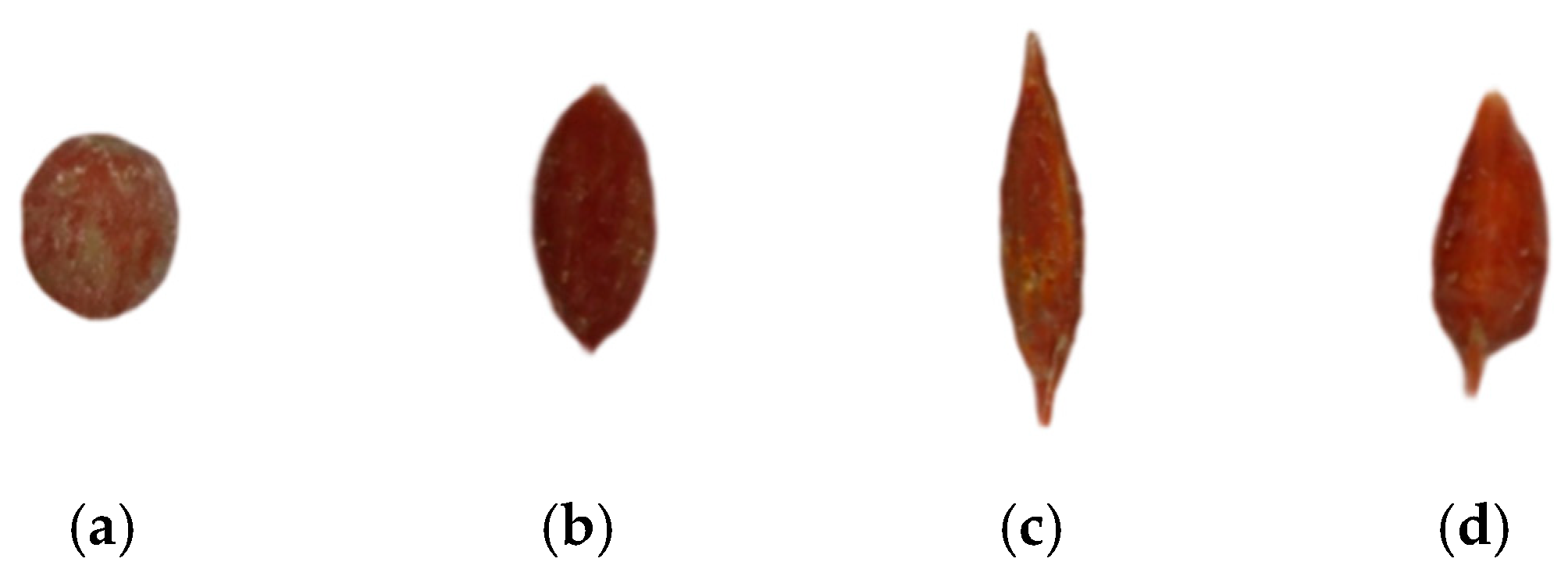 Agronomy 15 02063 g003 Agronomy 15 02063 g003
