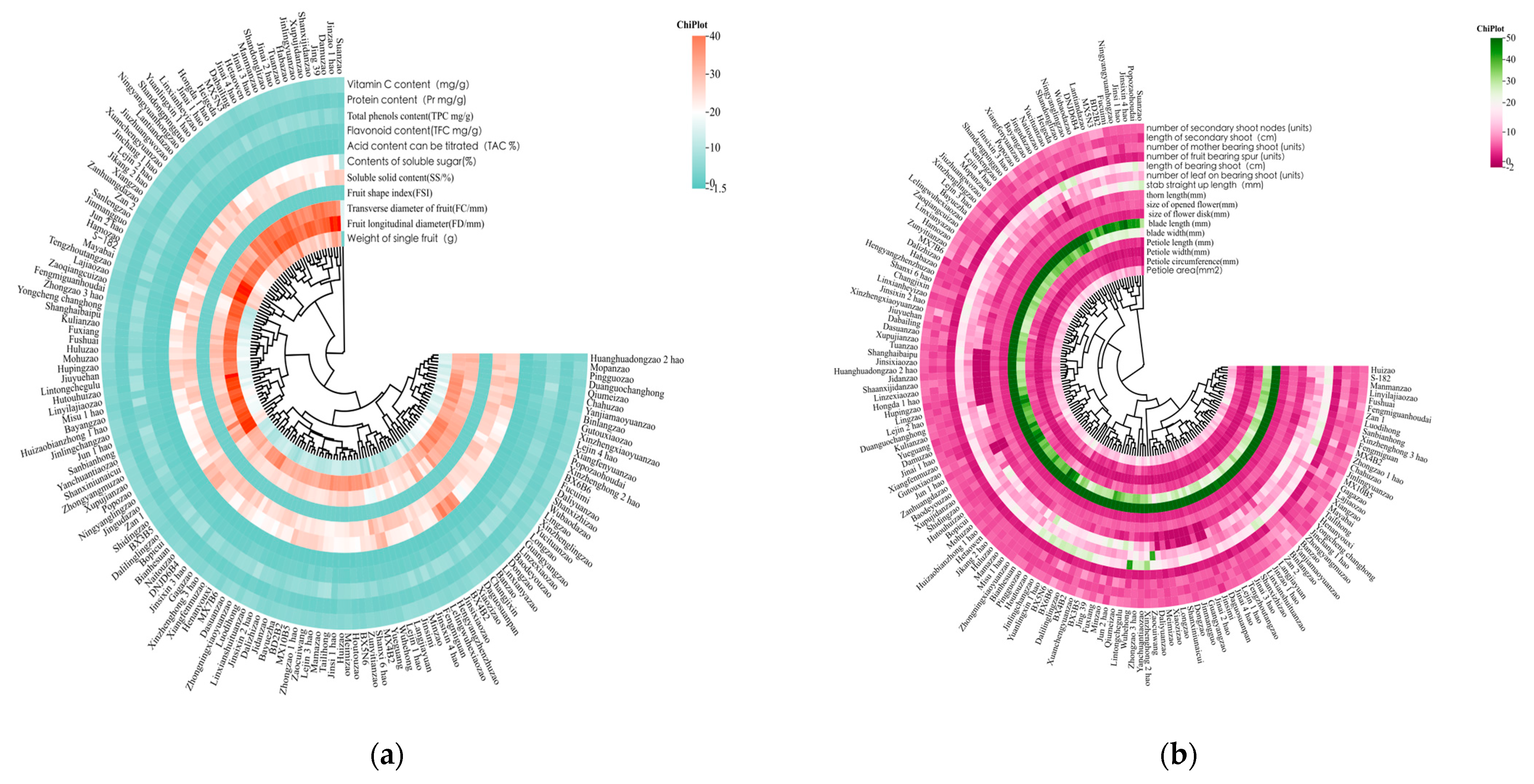 Agronomy 15 02063 g004 Agronomy 15 02063 g004