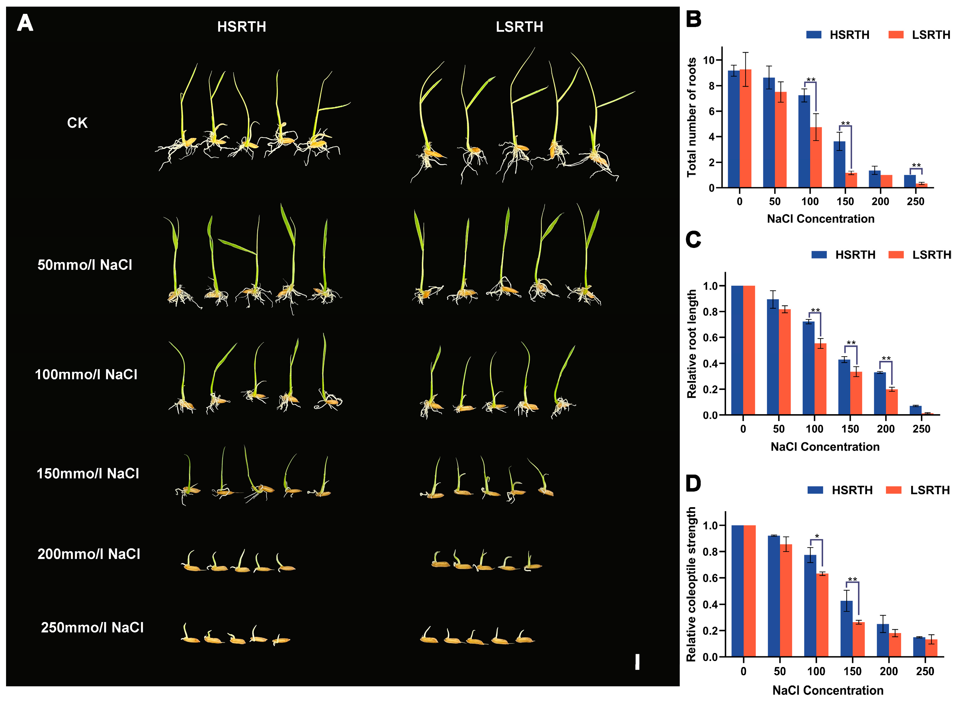 Agronomy 15 02066 g004