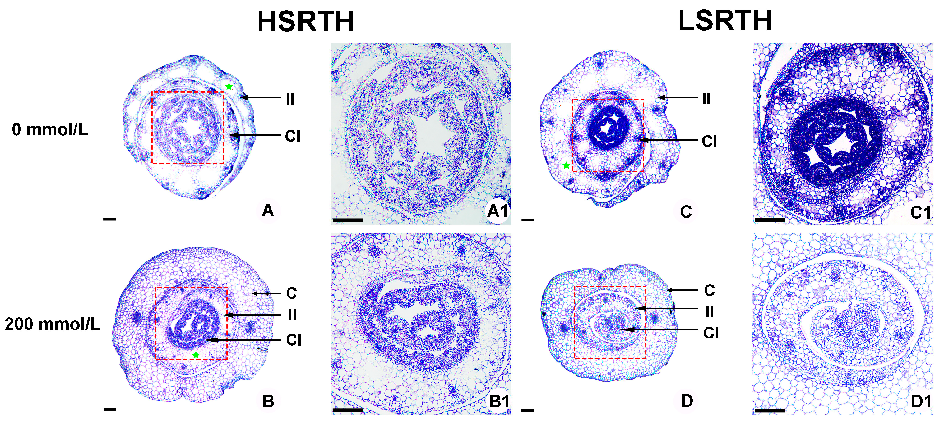 Agronomy 15 02066 g008