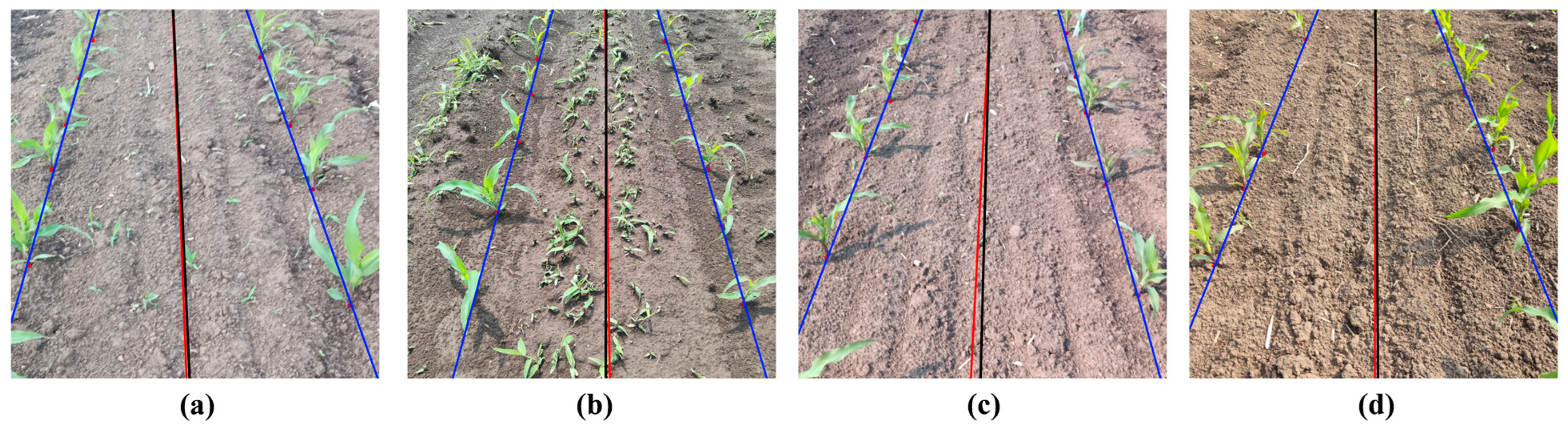 Agronomy 15 02069 g017
