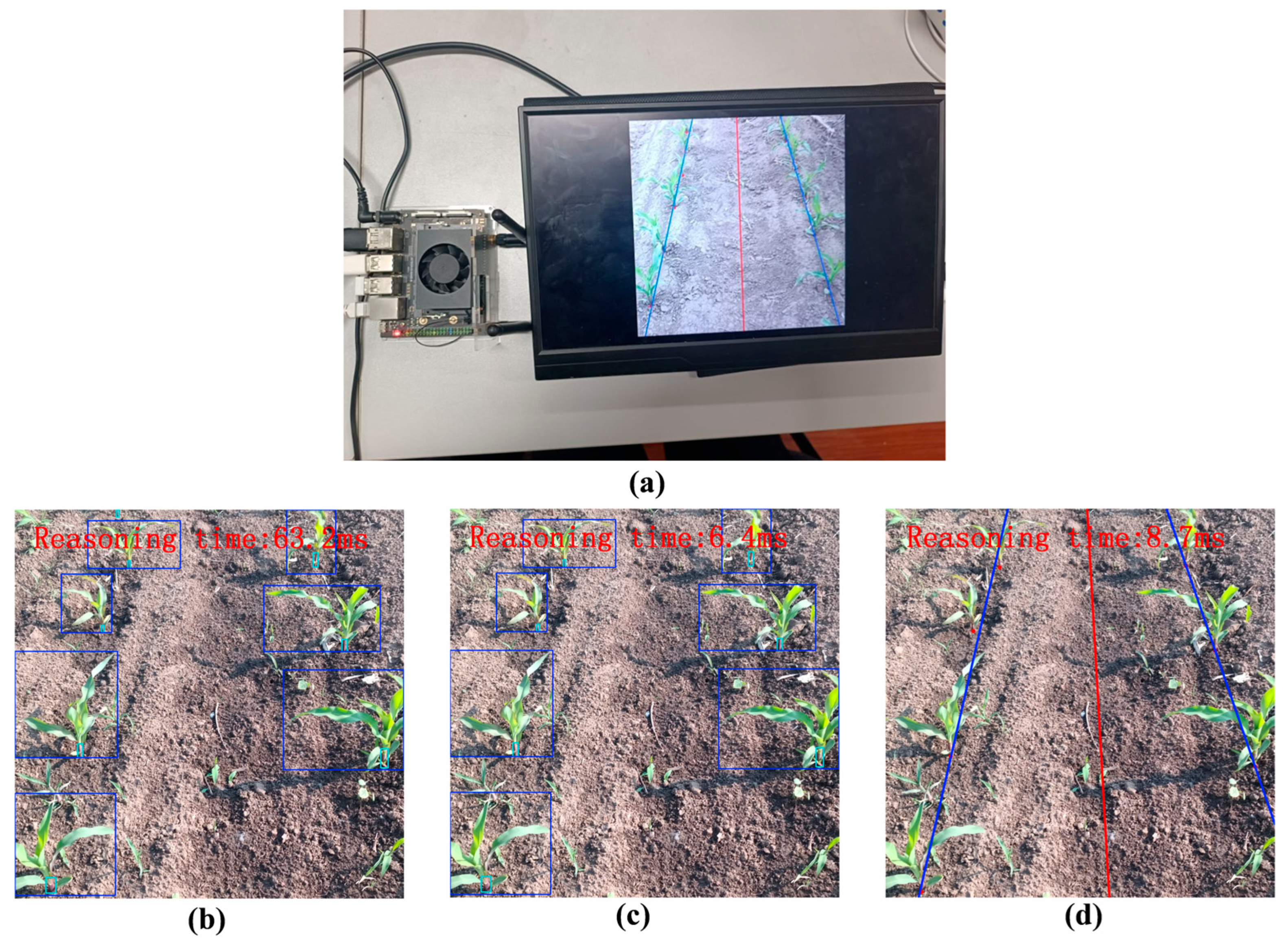 Agronomy 15 02069 g018