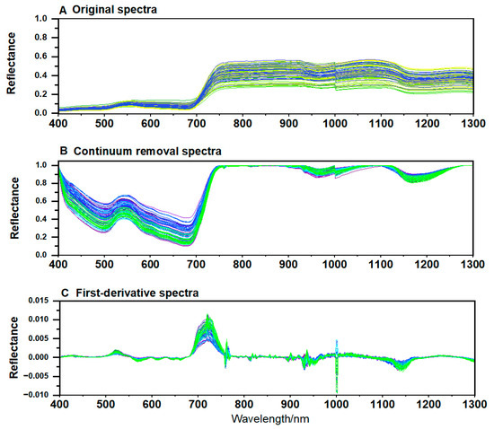 Usa様 たい adidas ZX 8000 atmos G-SNK TJ