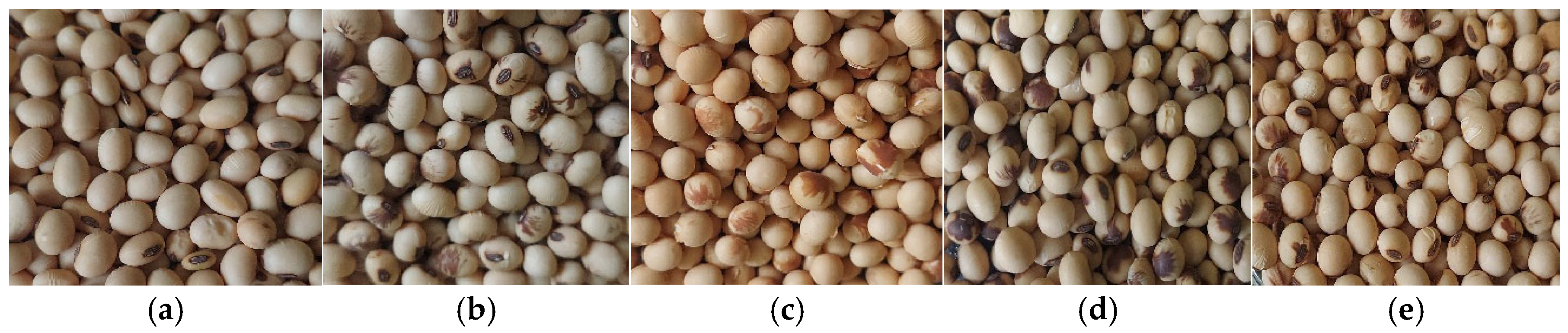 Agronomy 15 02074 g001 Agronomy 15 02074 g001