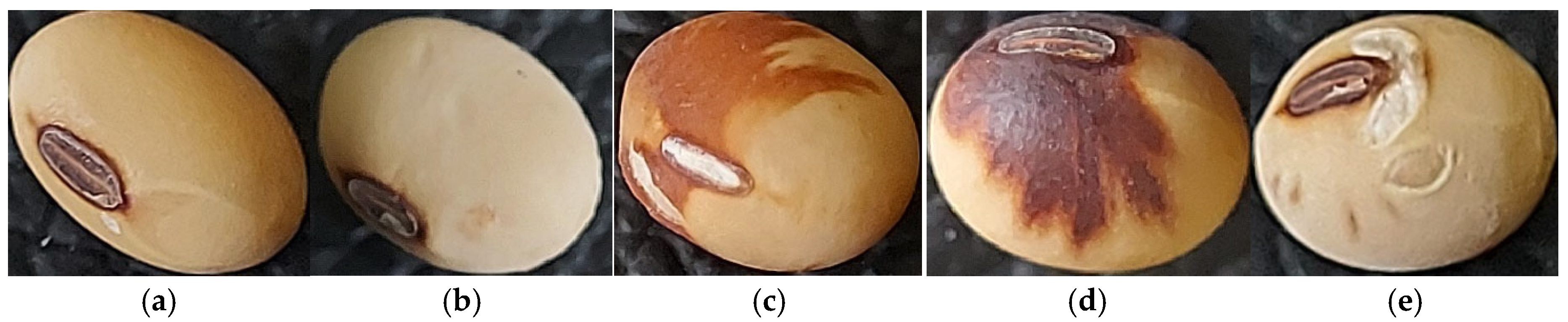 Agronomy 15 02074 g002 Agronomy 15 02074 g002