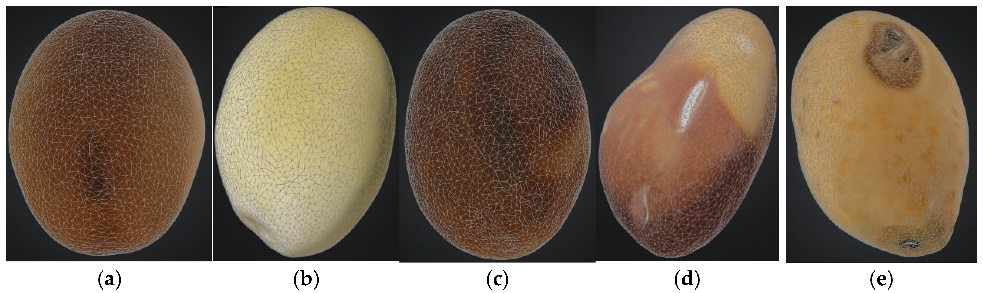 Agronomy 15 02074 g004 Agronomy 15 02074 g004