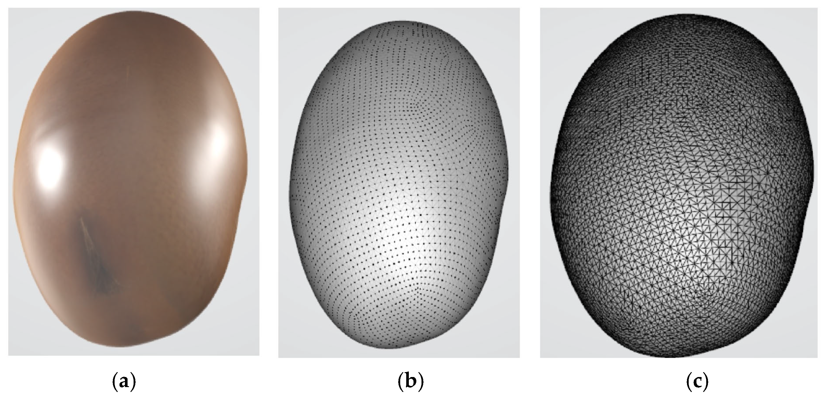 Agronomy 15 02074 g007 Agronomy 15 02074 g007