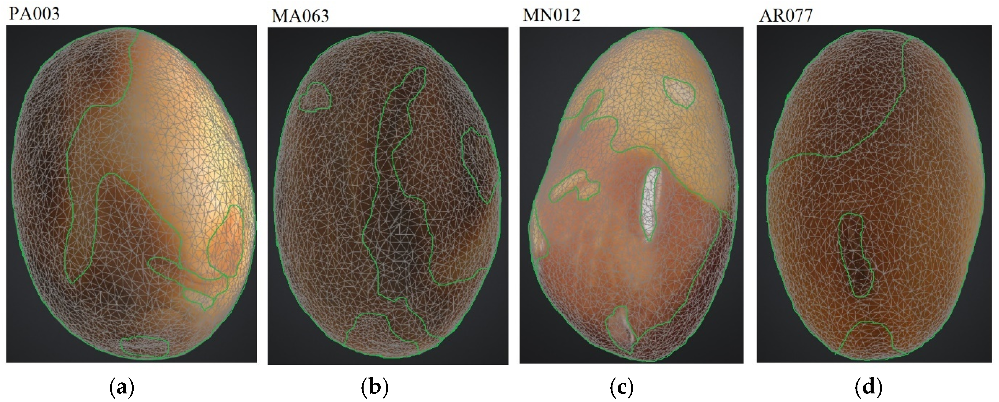 Agronomy 15 02074 g008 Agronomy 15 02074 g008
