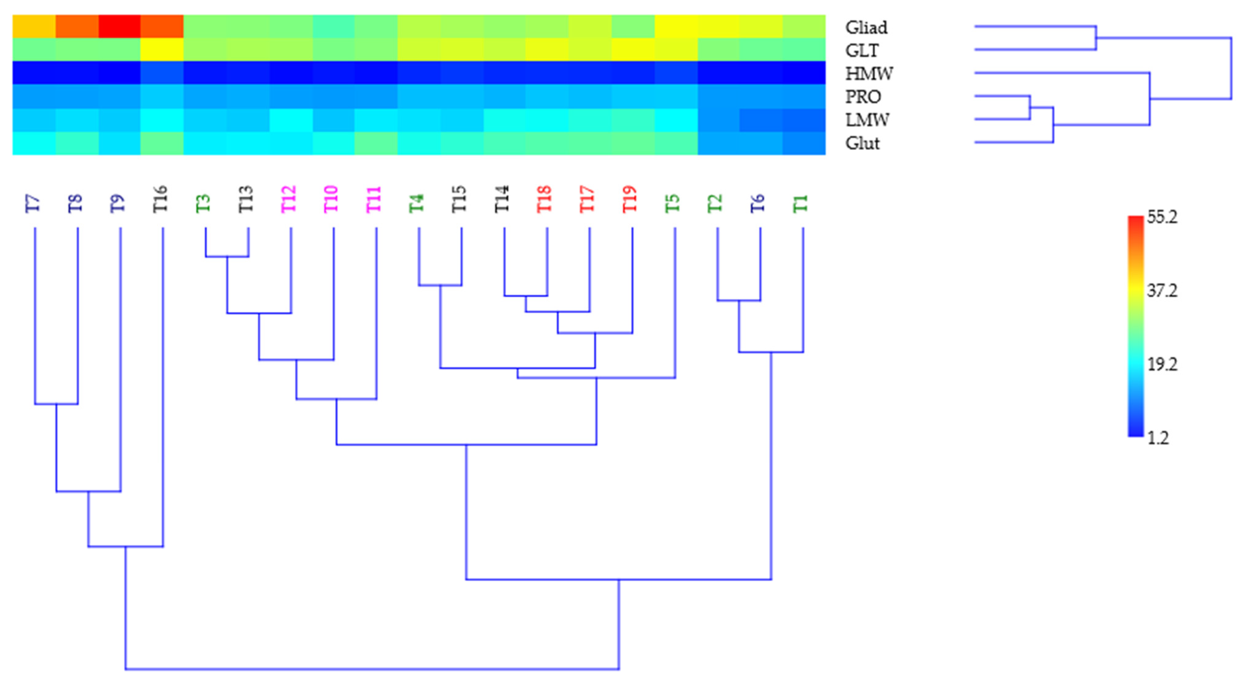 Agronomy 15 02076 g009