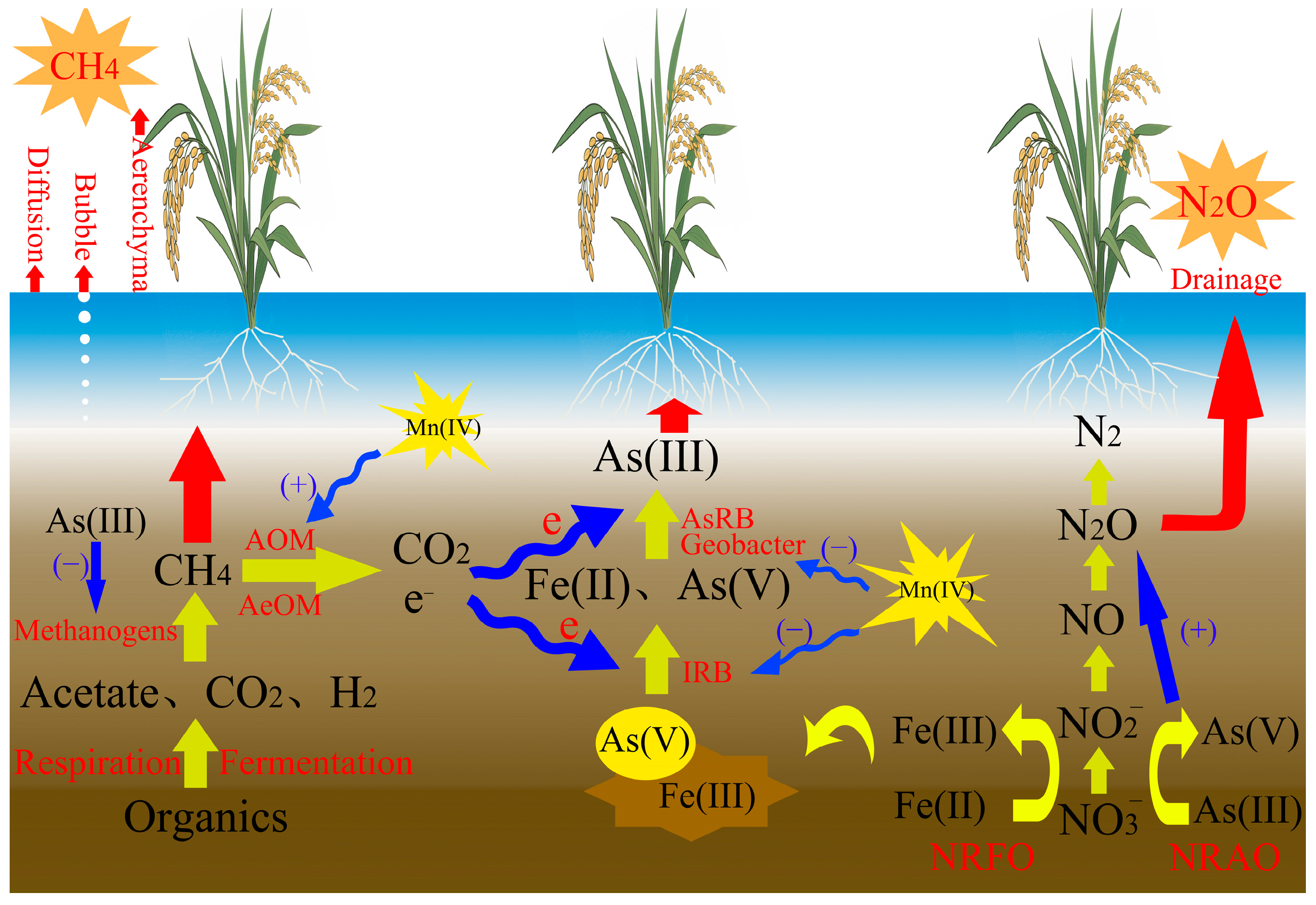 Agronomy 15 02081 g002 Agronomy 15 02081 g002
