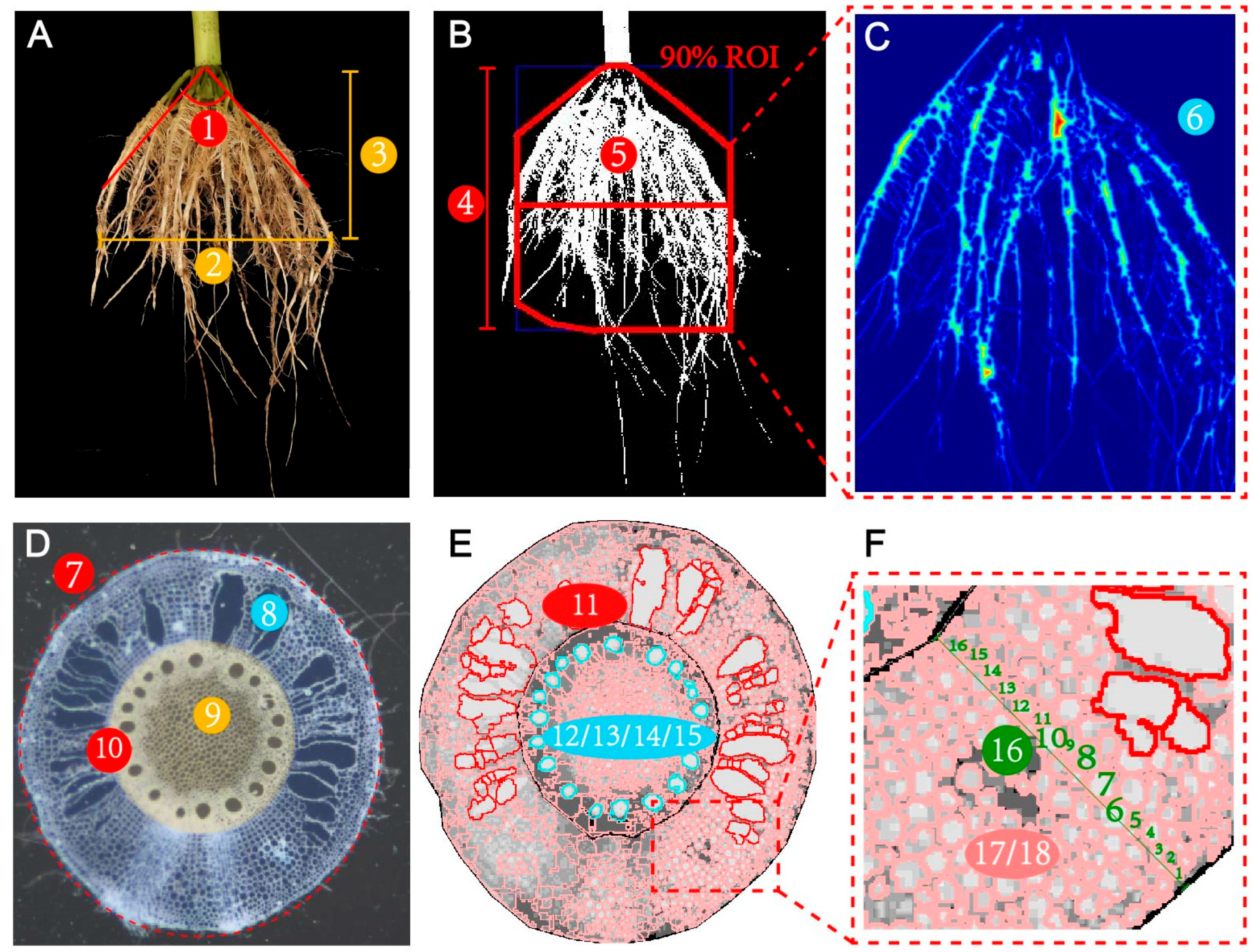 Agronomy 15 02083 g001 Agronomy 15 02083 g001