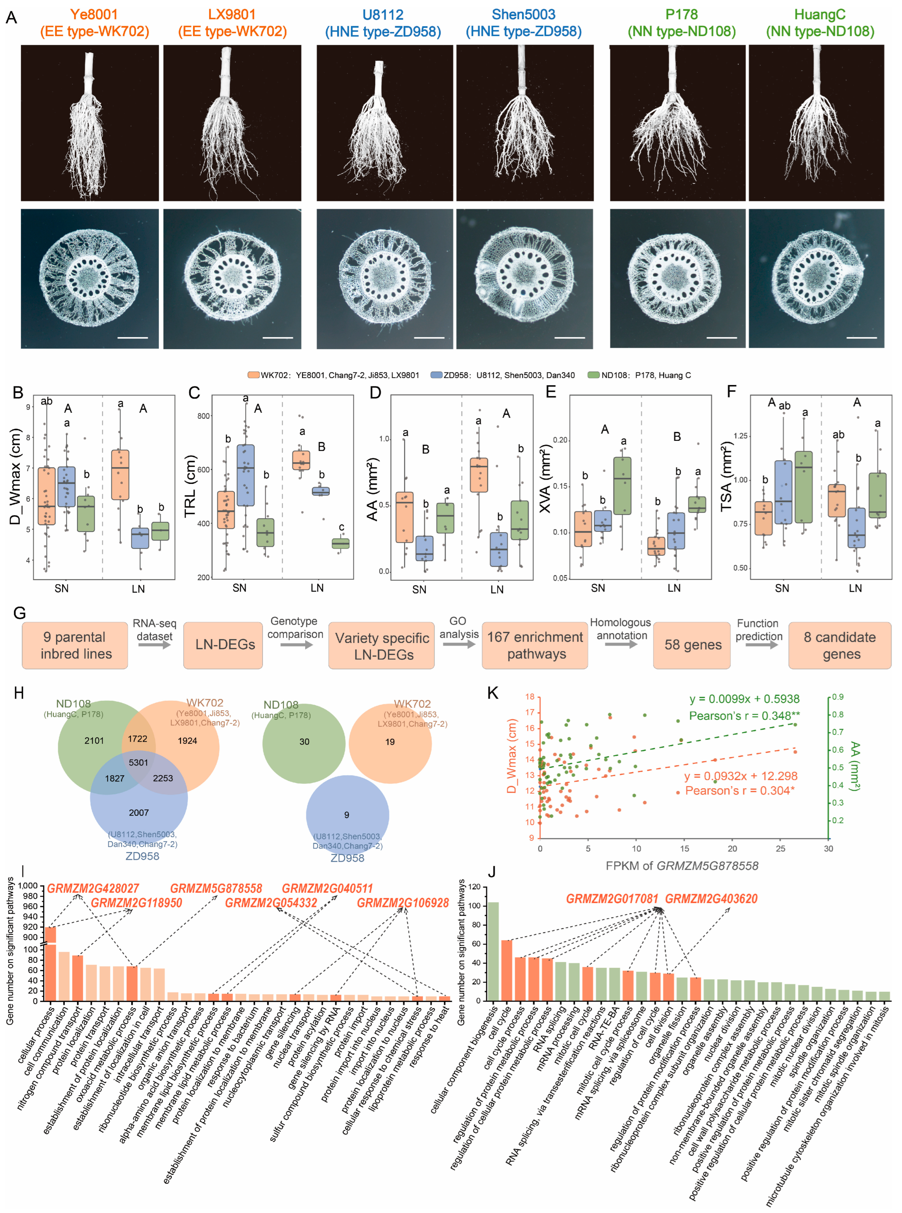 Agronomy 15 02083 g007 Agronomy 15 02083 g007