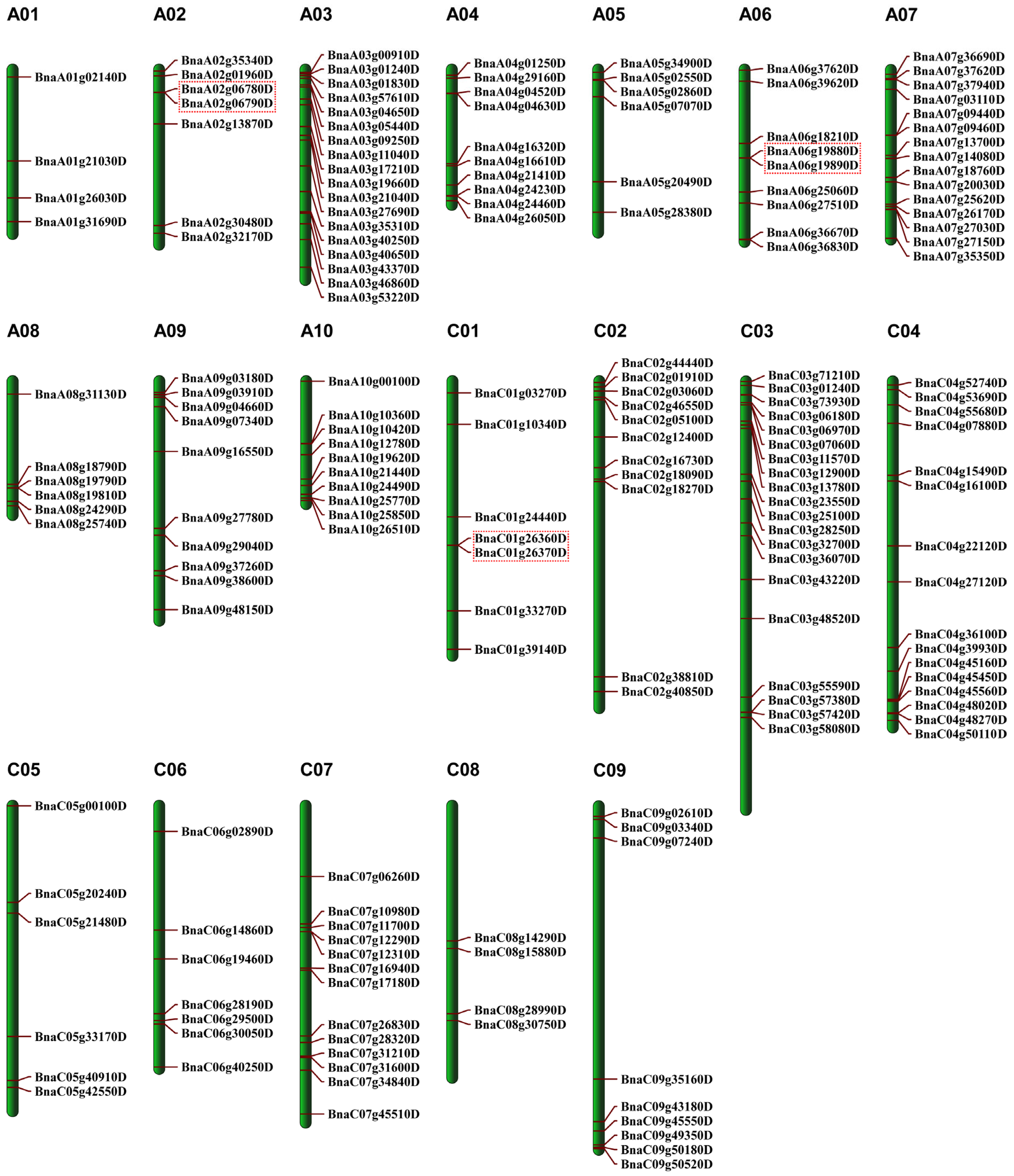 Agronomy 15 02085 g001
