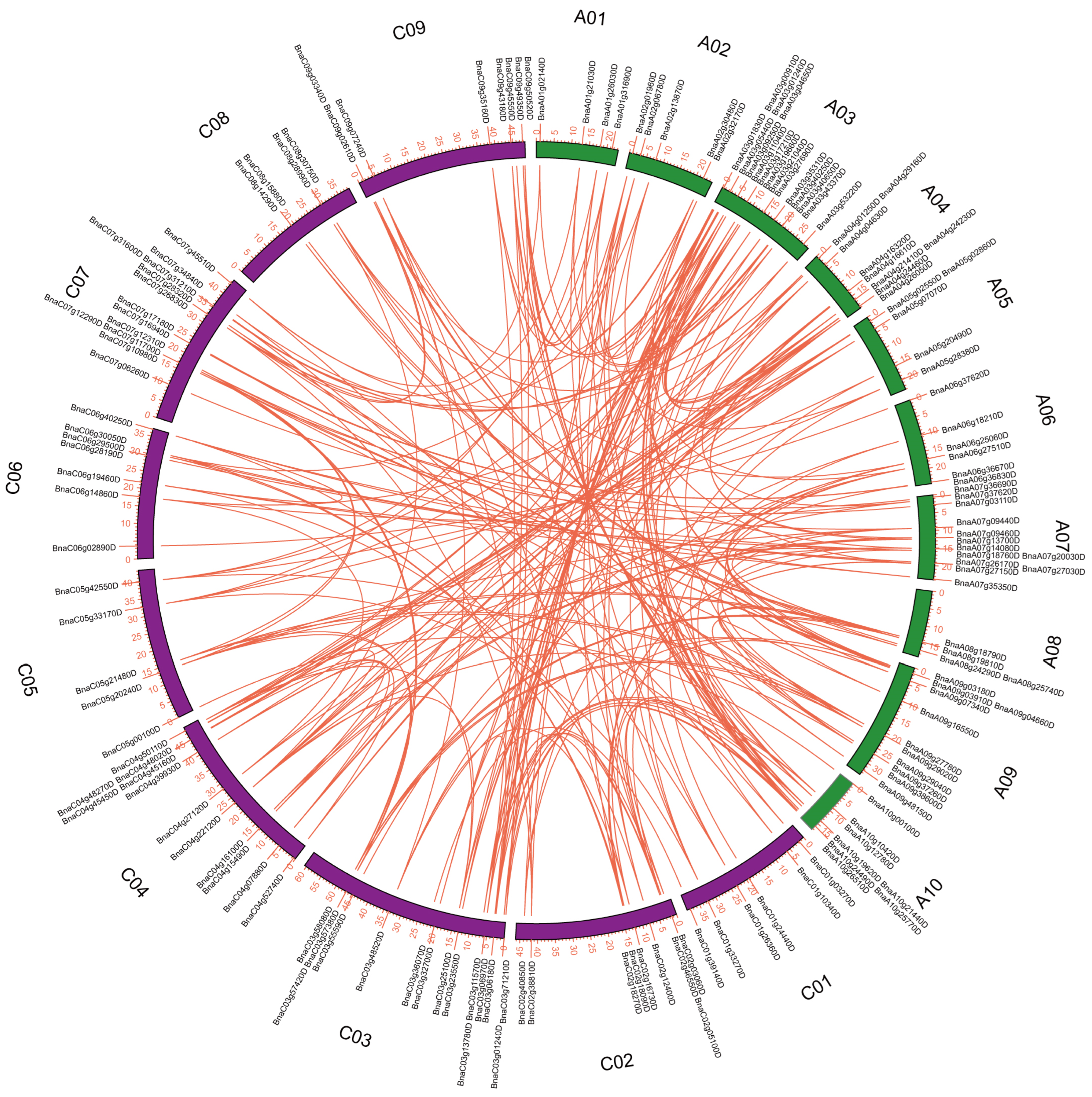 Agronomy 15 02085 g002