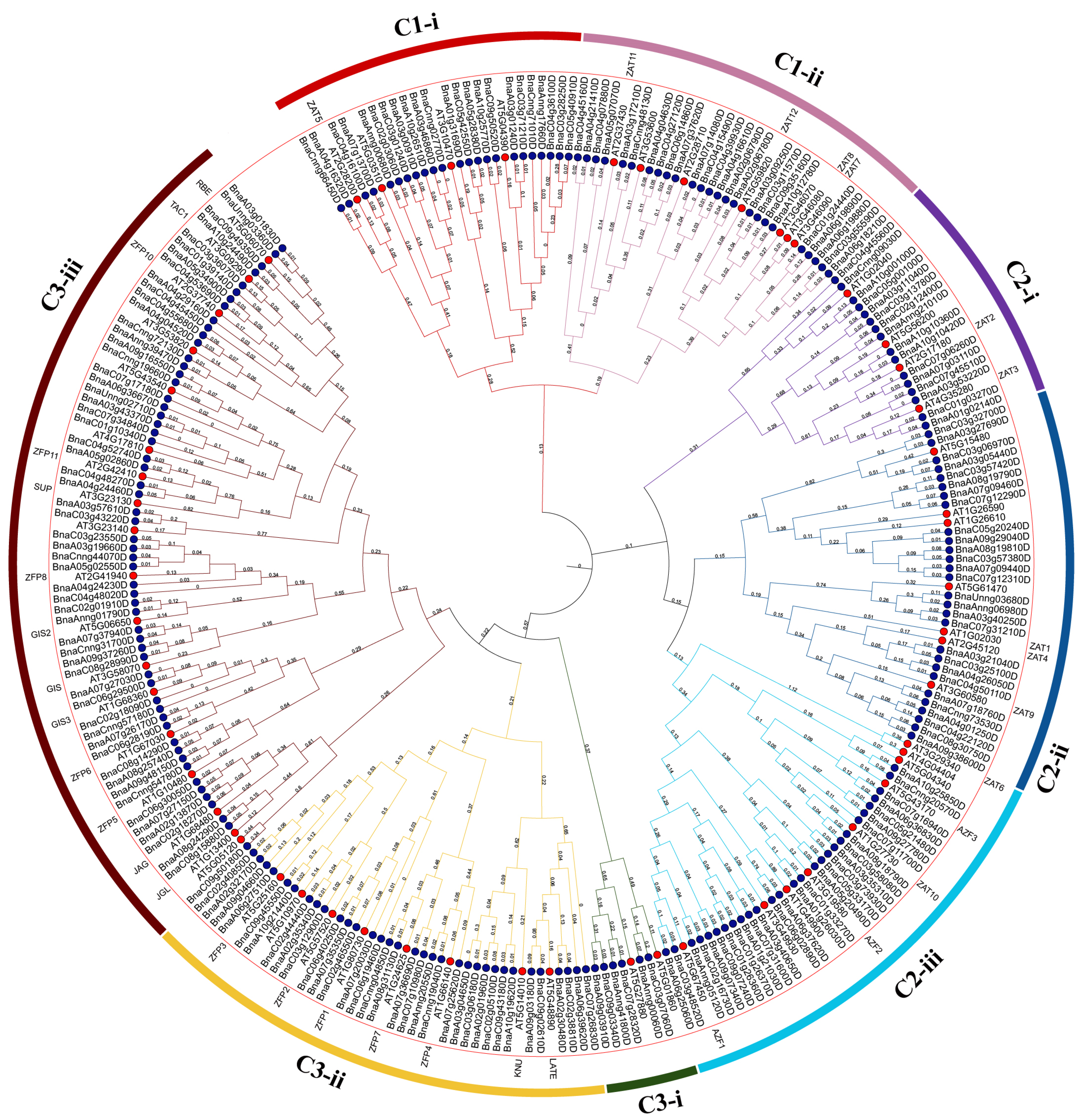 Agronomy 15 02085 g003