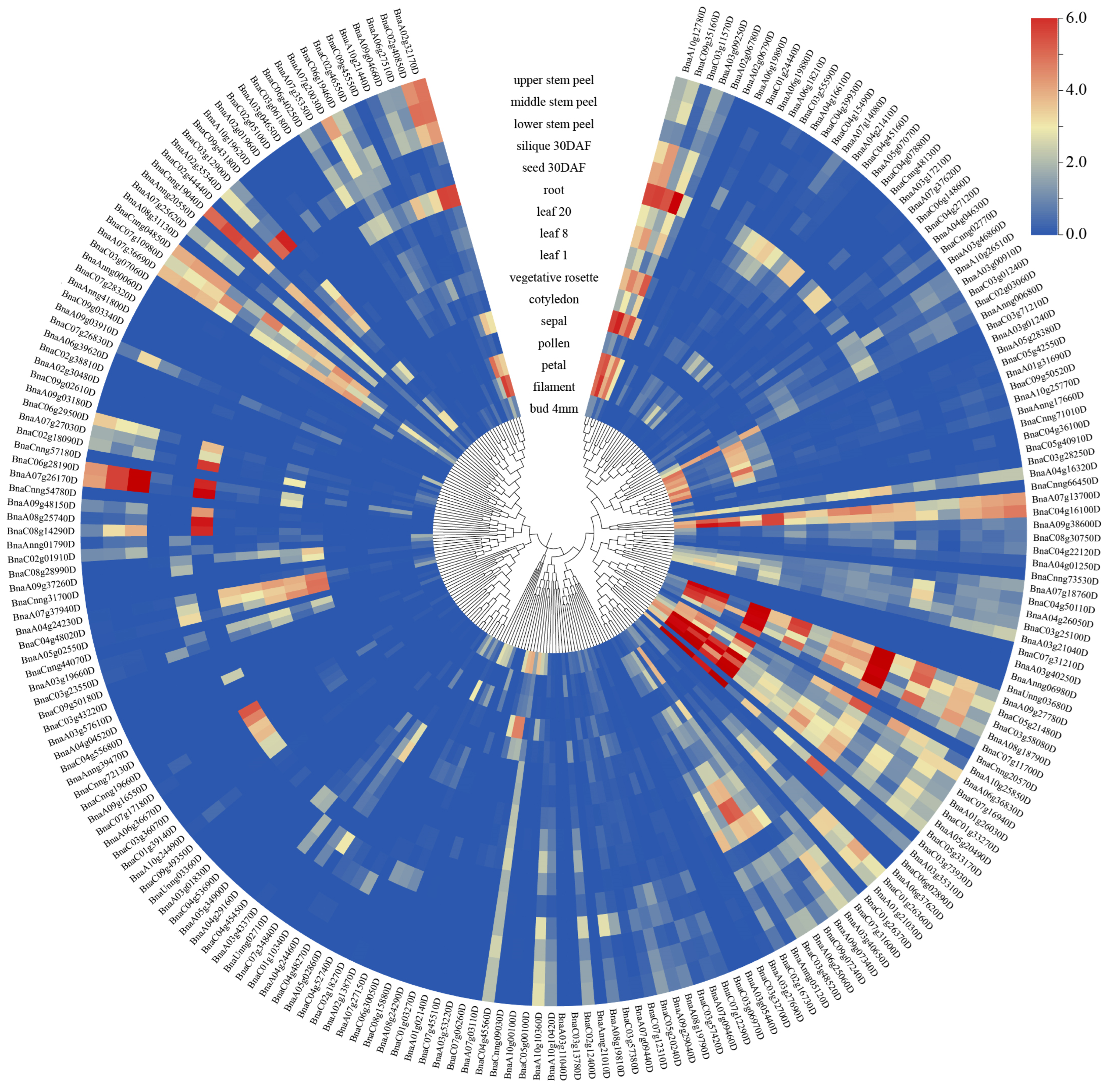Agronomy 15 02085 g004