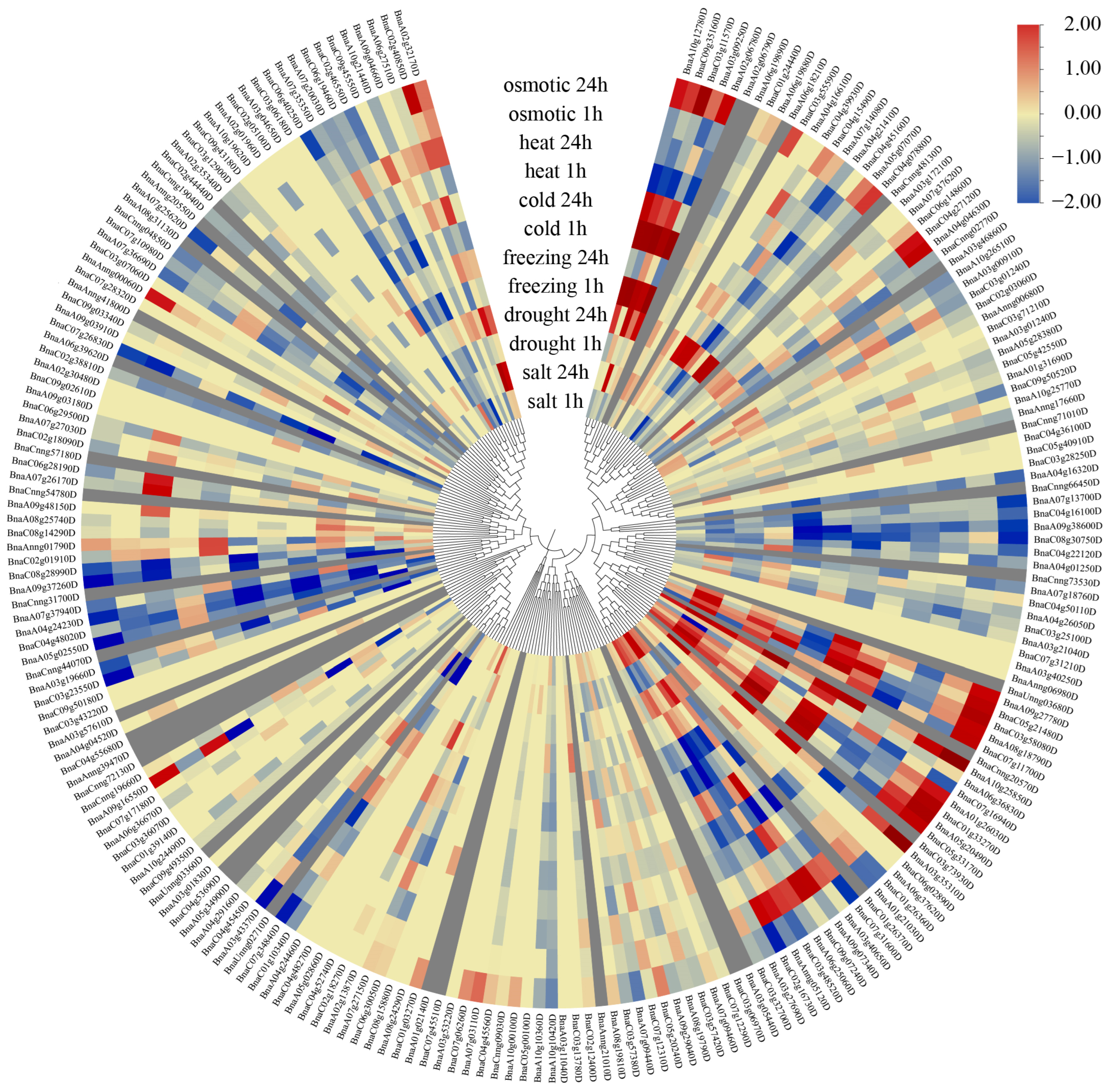 Agronomy 15 02085 g005