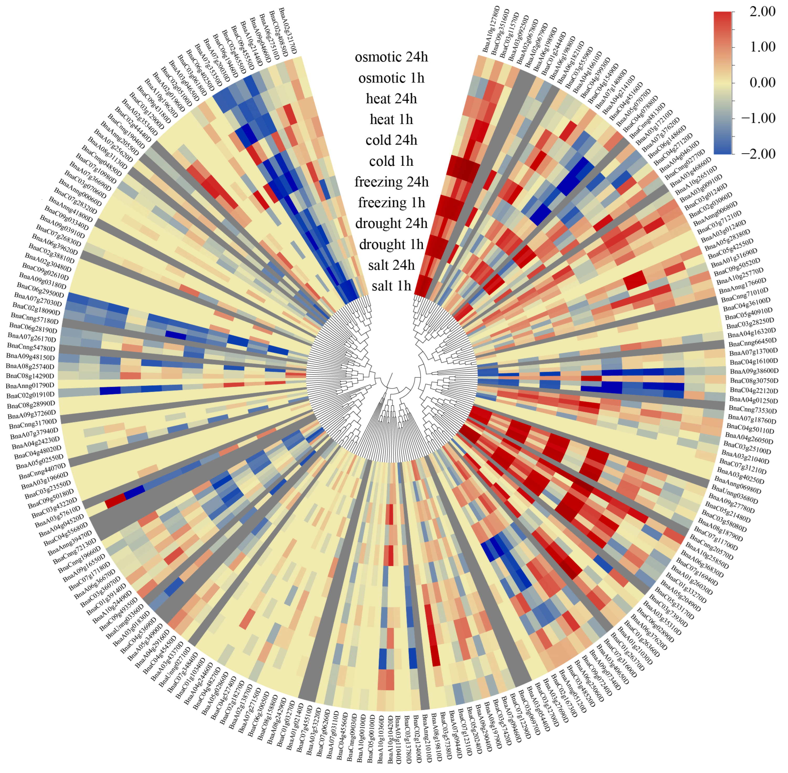 Agronomy 15 02085 g006