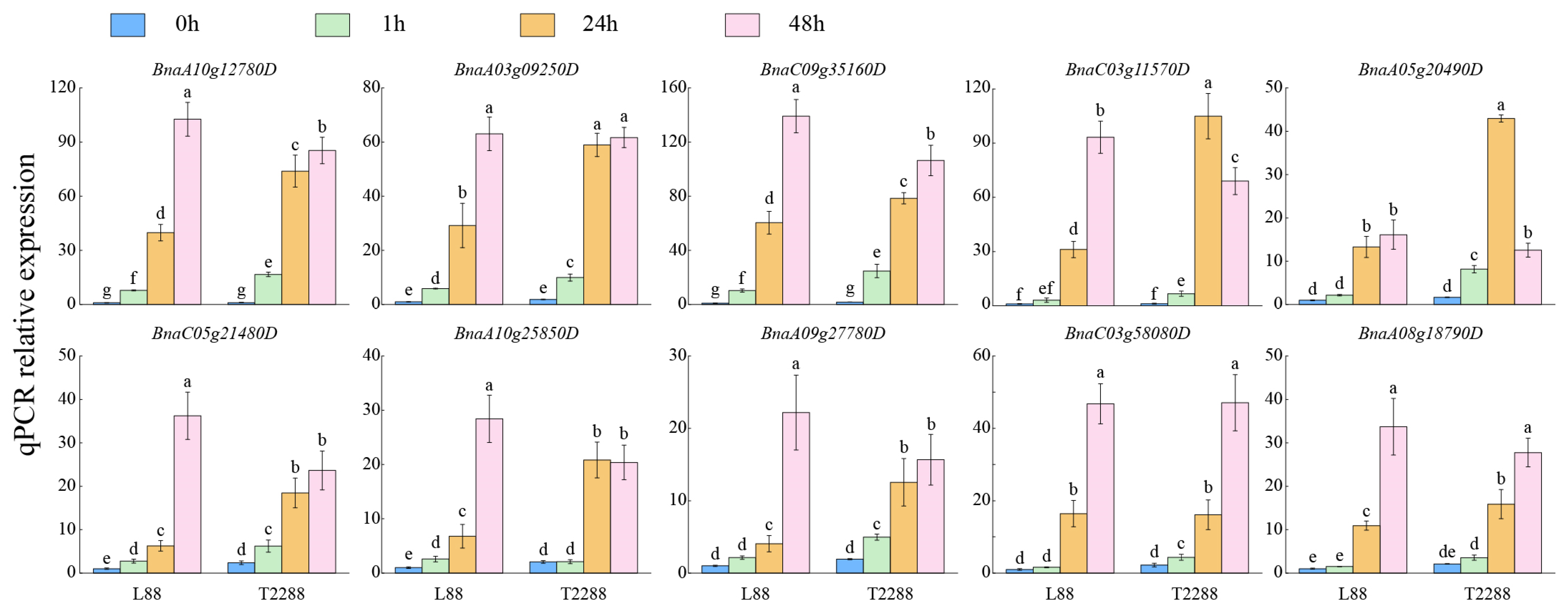 Agronomy 15 02085 g007