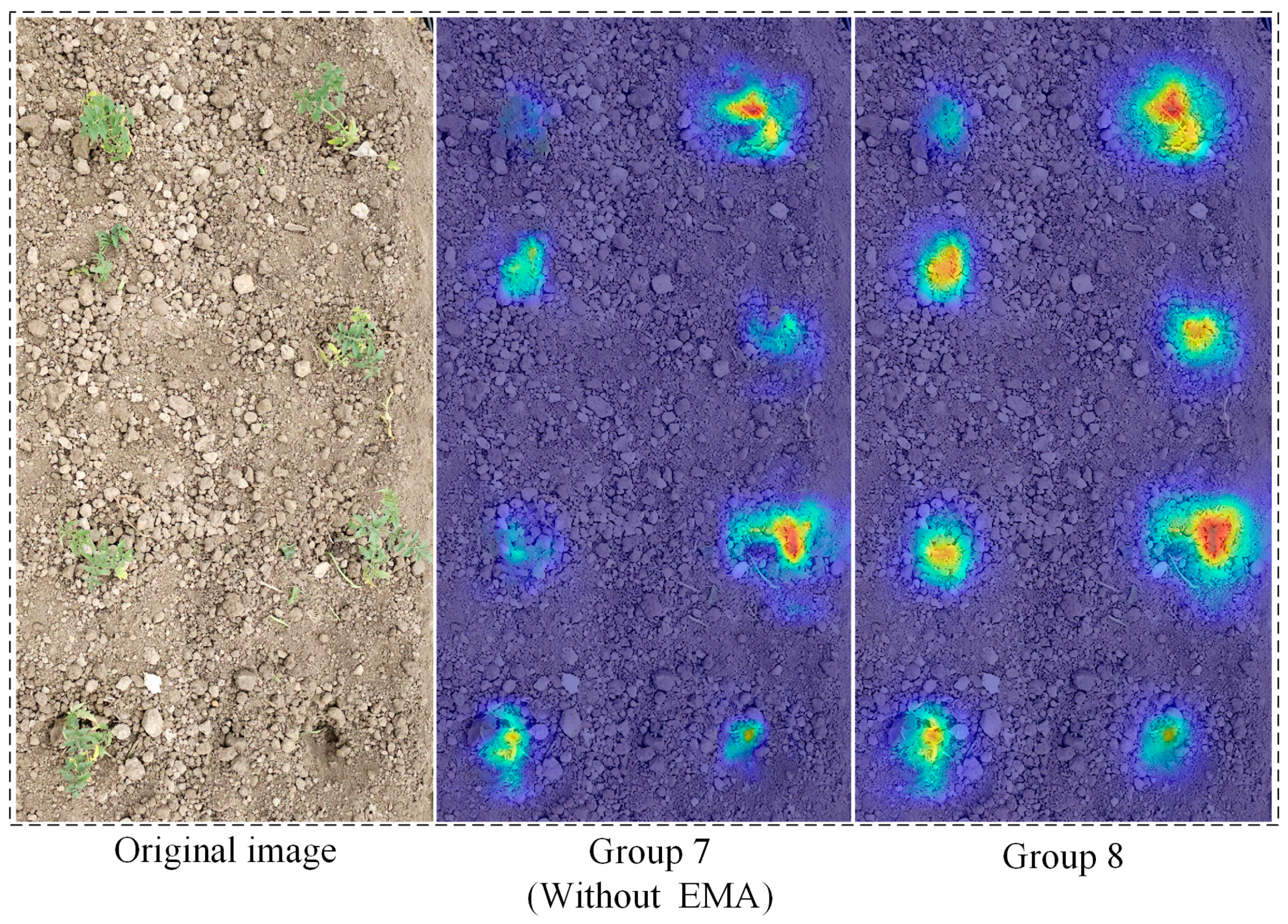 Agronomy 15 02088 g010 Agronomy 15 02088 g010