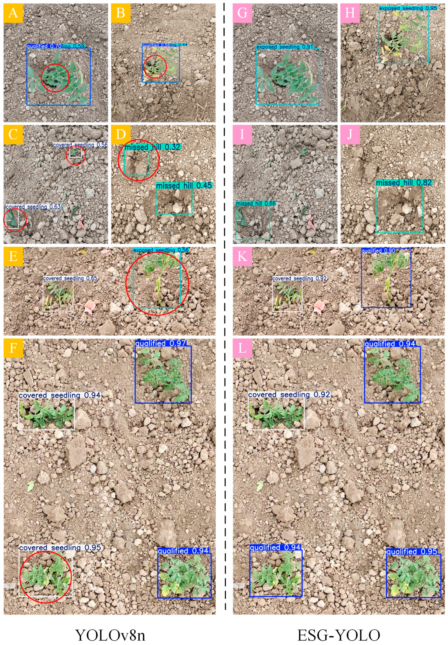 Agronomy 15 02088 g011 Agronomy 15 02088 g011