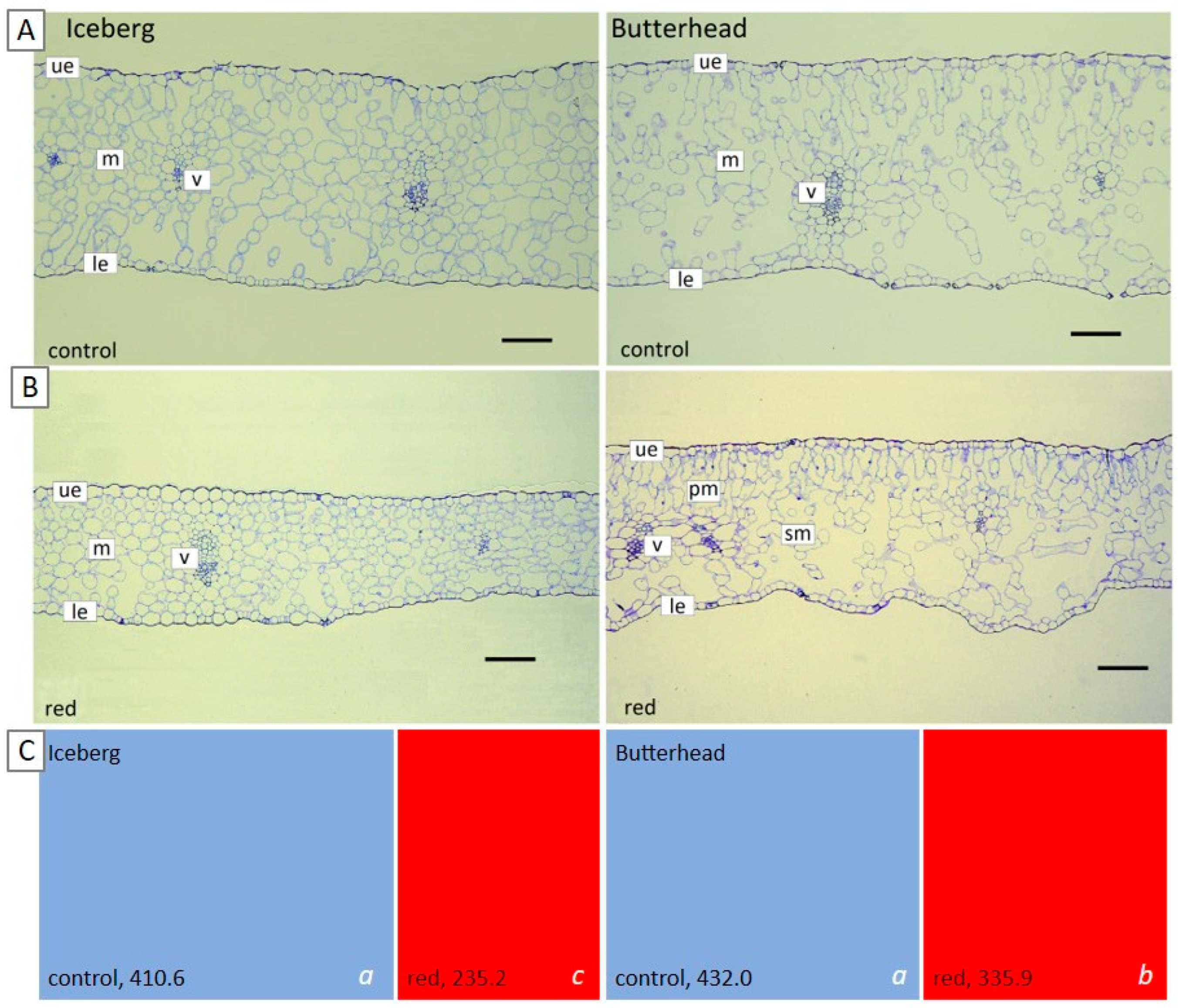 Agronomy 15 02090 g003 Agronomy 15 02090 g003