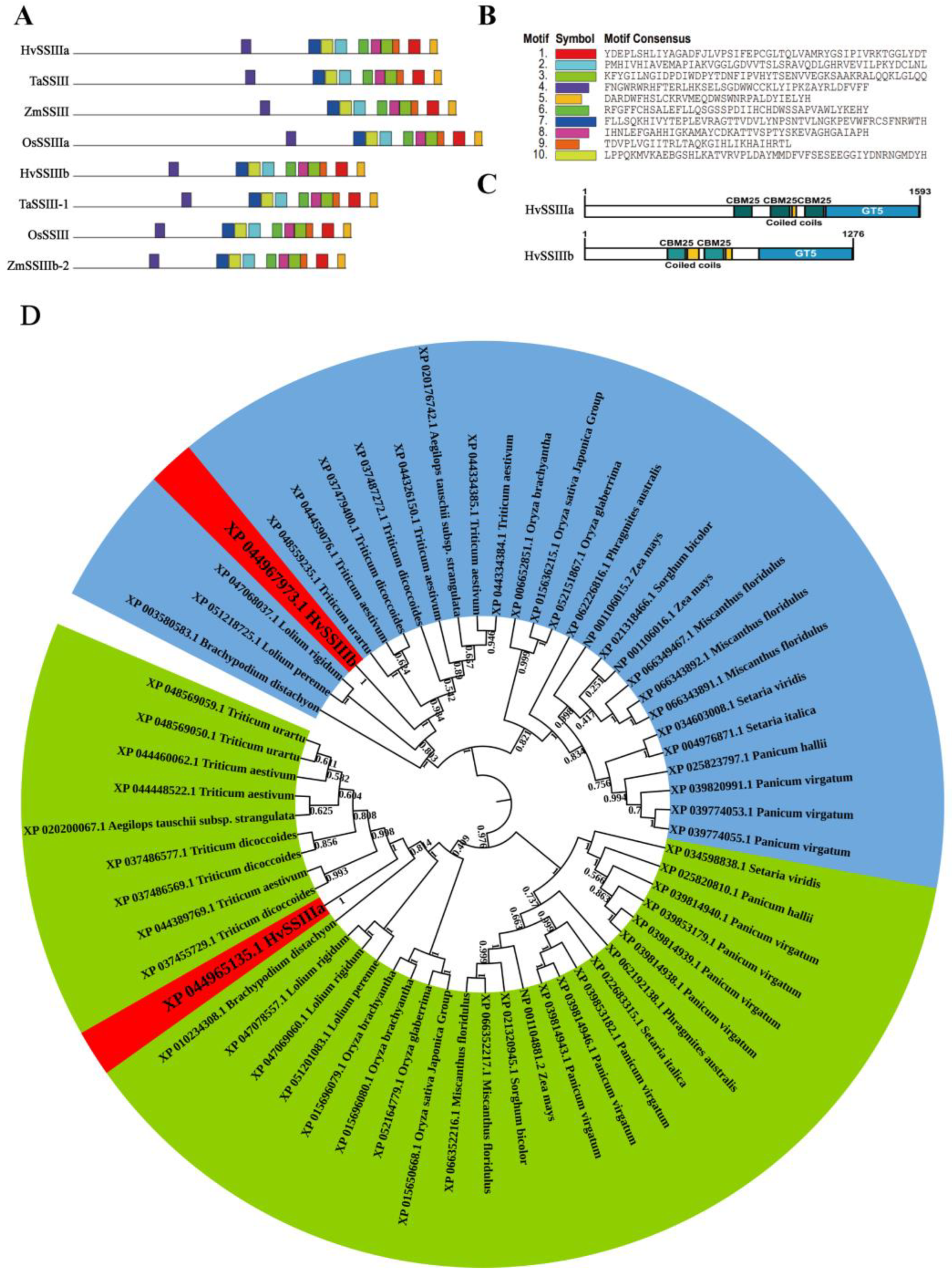 Agronomy 15 02091 g001