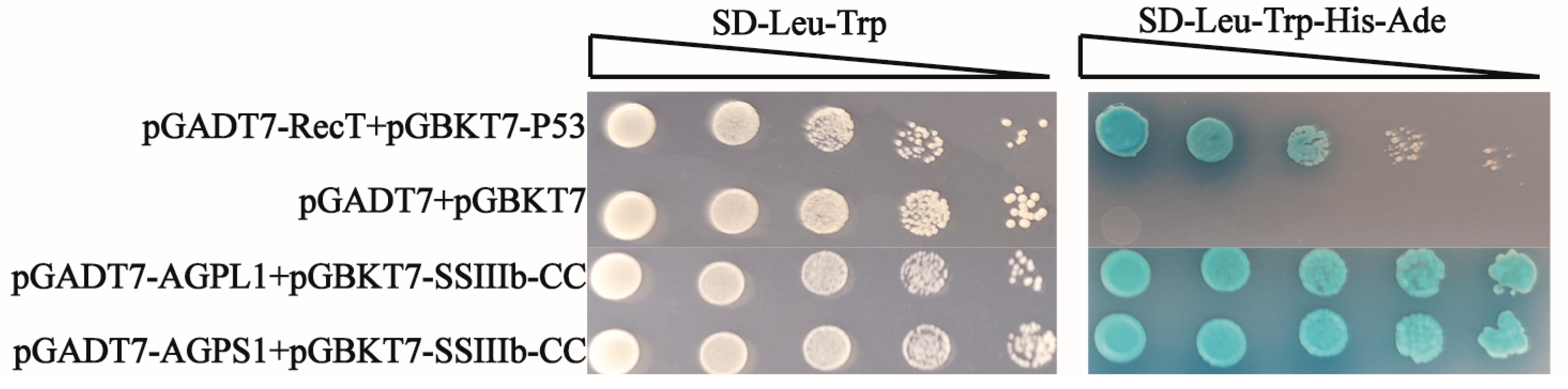 Agronomy 15 02091 g006