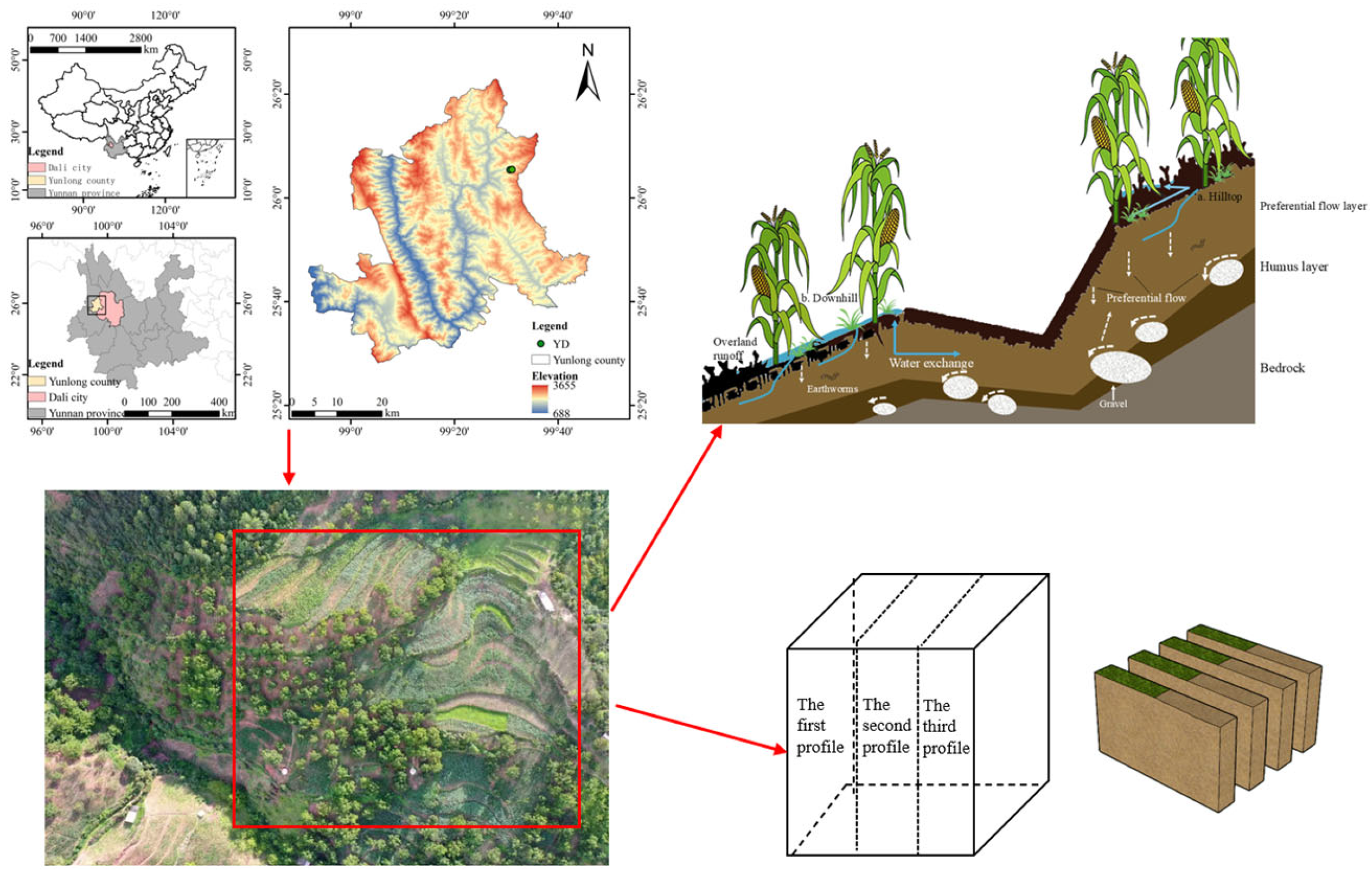 Agronomy 15 02101 g001 Agronomy 15 02101 g001