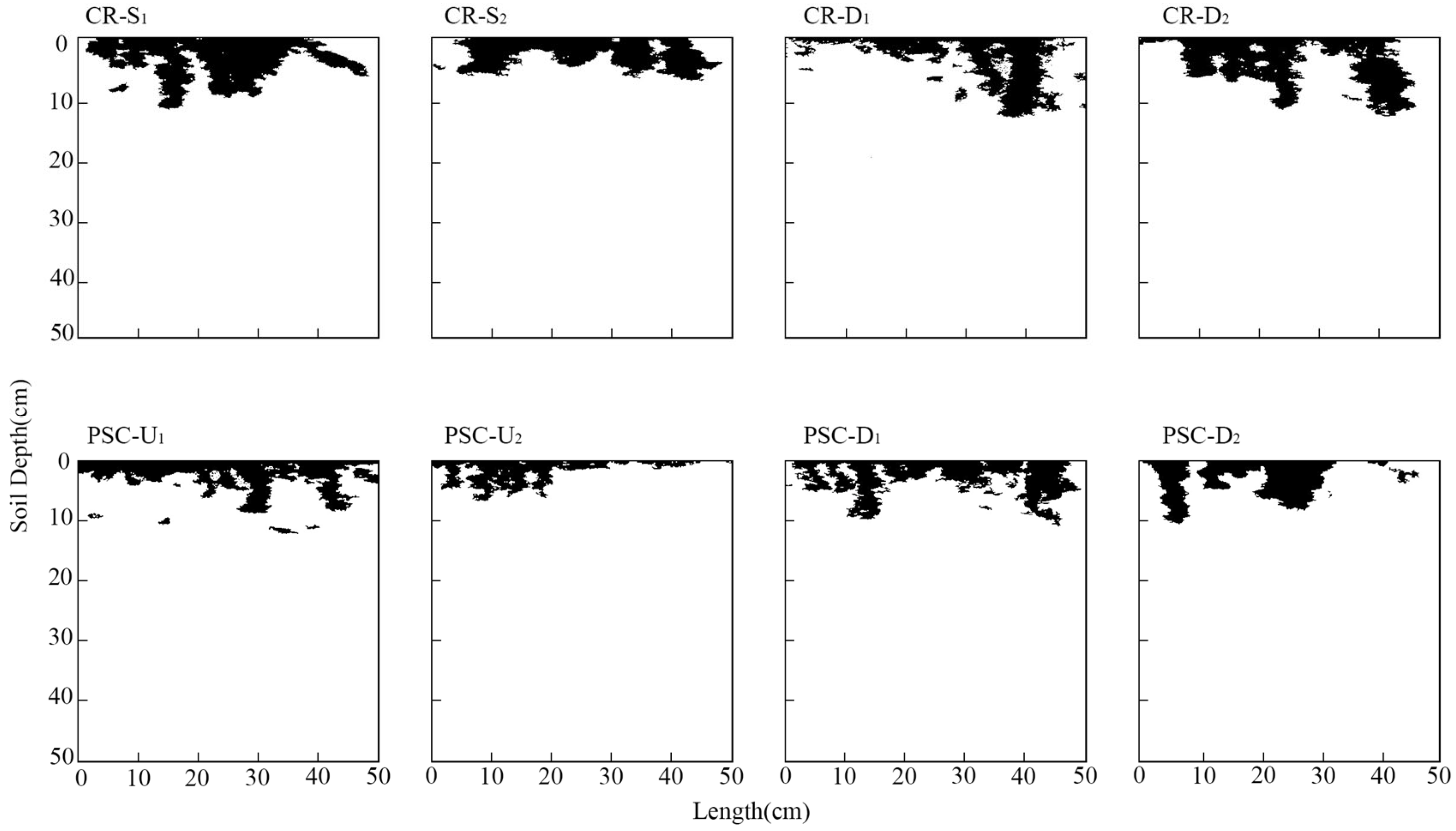 Agronomy 15 02101 g002 Agronomy 15 02101 g002