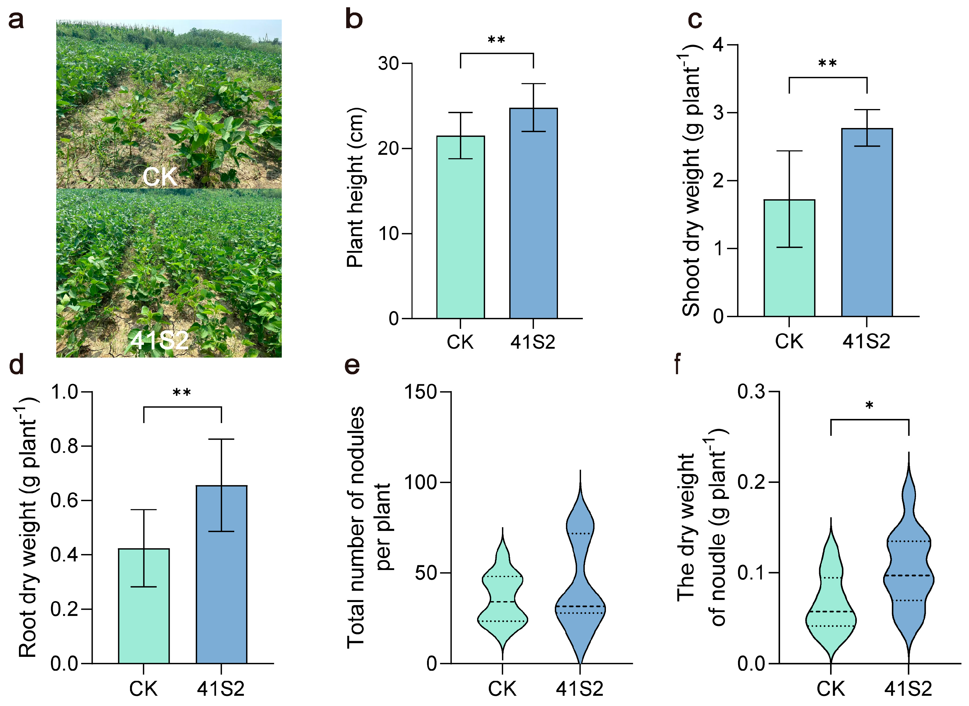 Agronomy 15 02103 g001