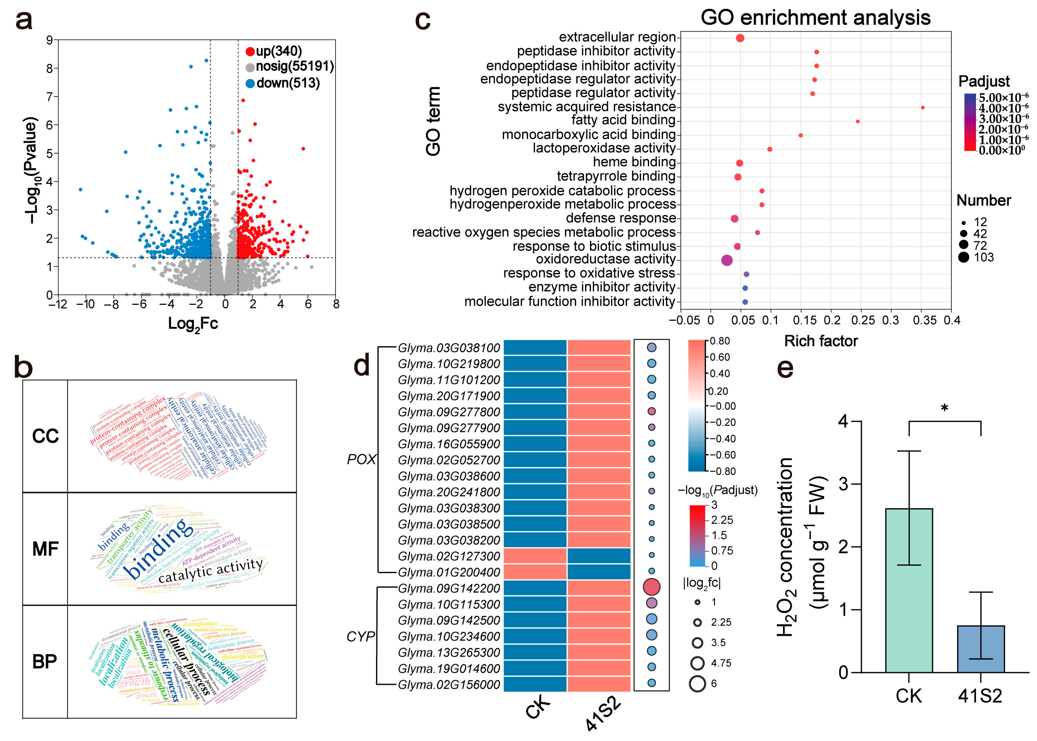 Agronomy 15 02103 g002