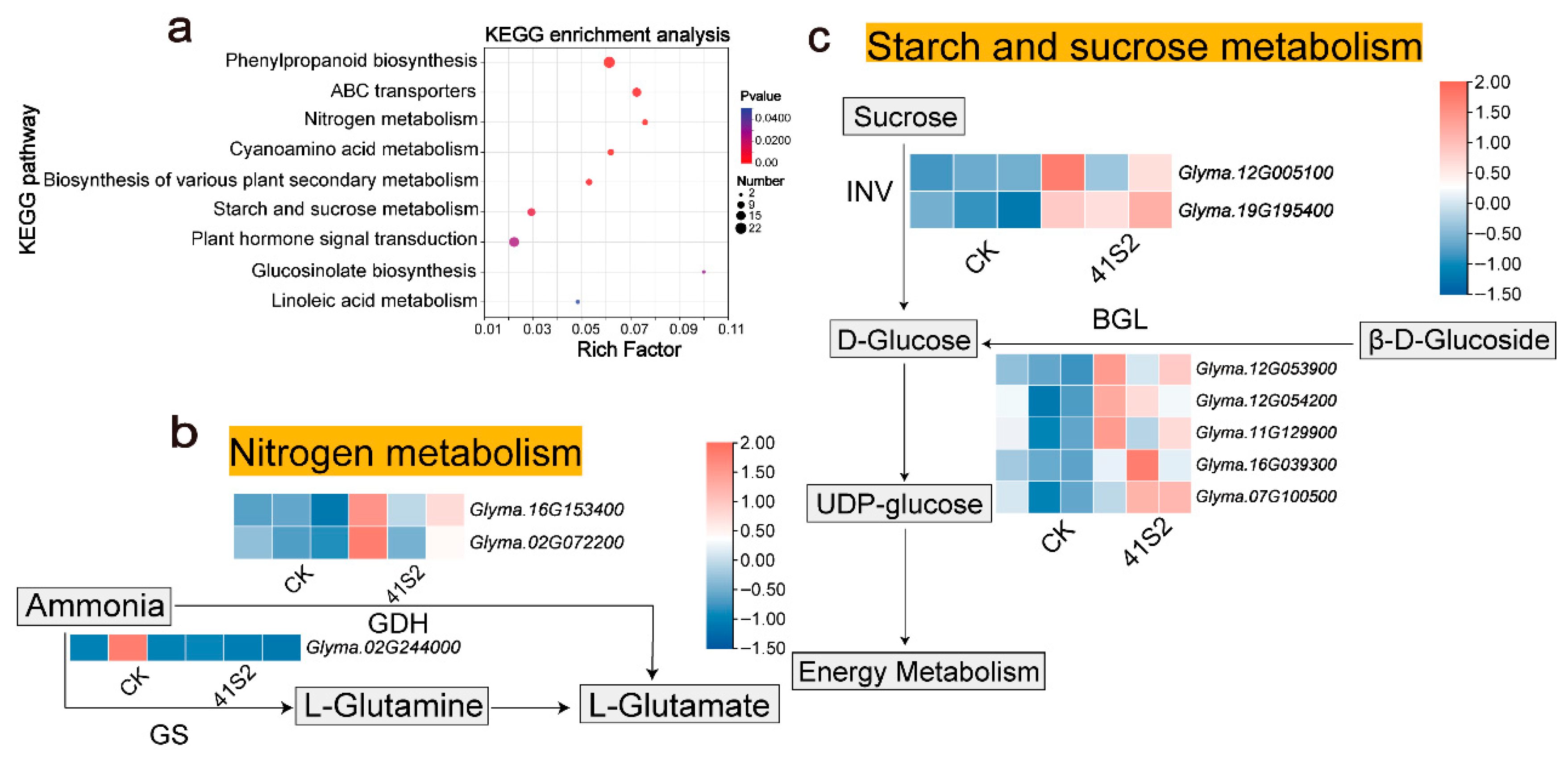 Agronomy 15 02103 g003