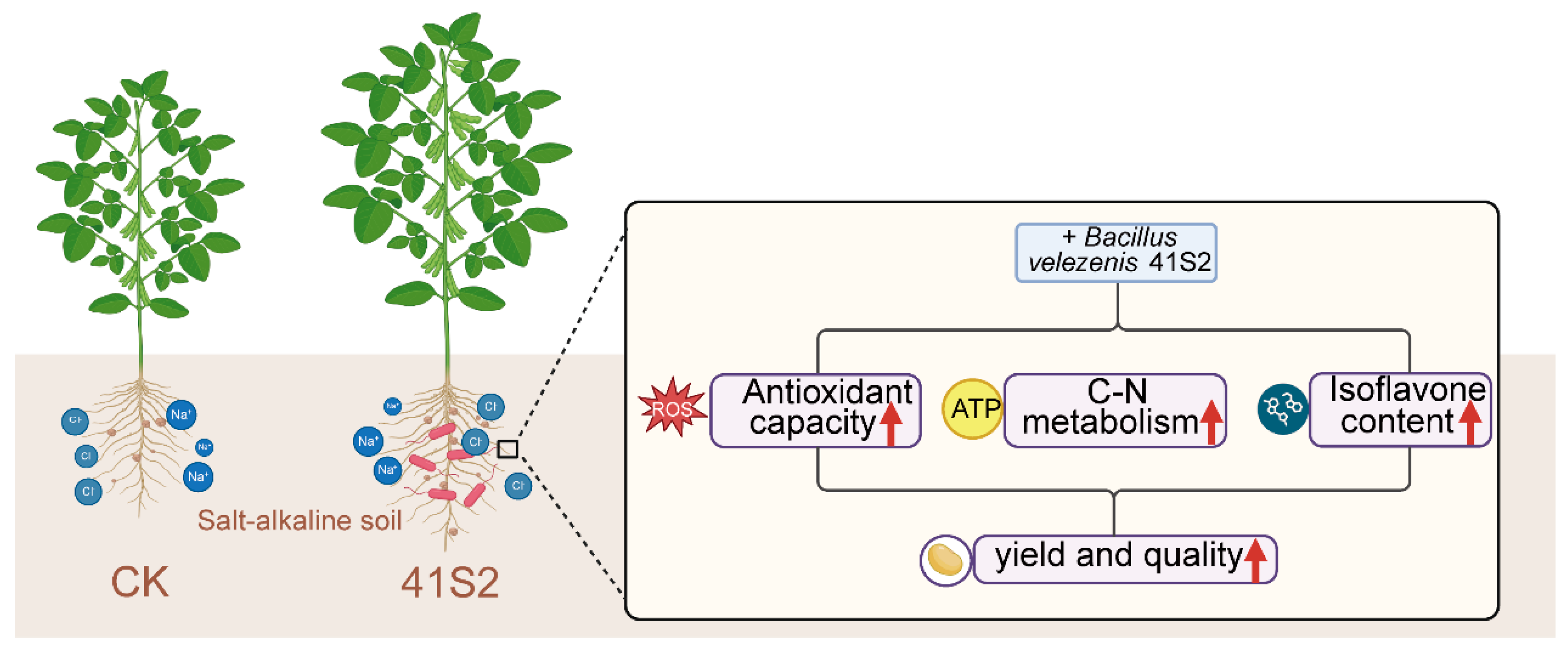 Agronomy 15 02103 g006