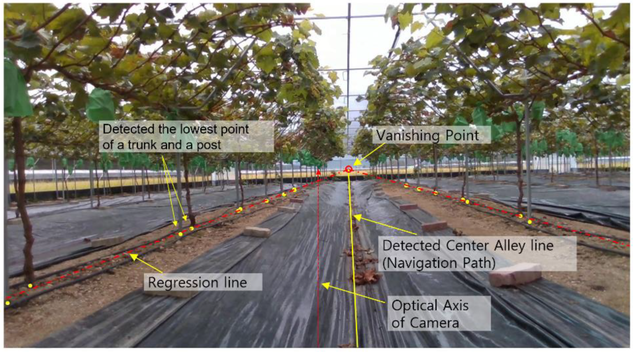 Agronomy 15 02107 g009
