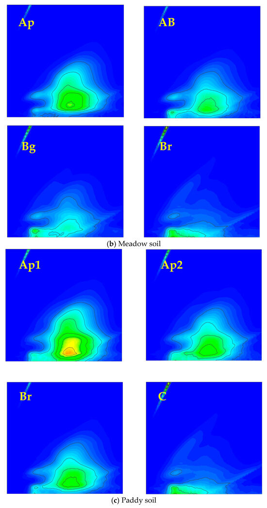 Distribution Patterns of Humus and Mineral Composition in
