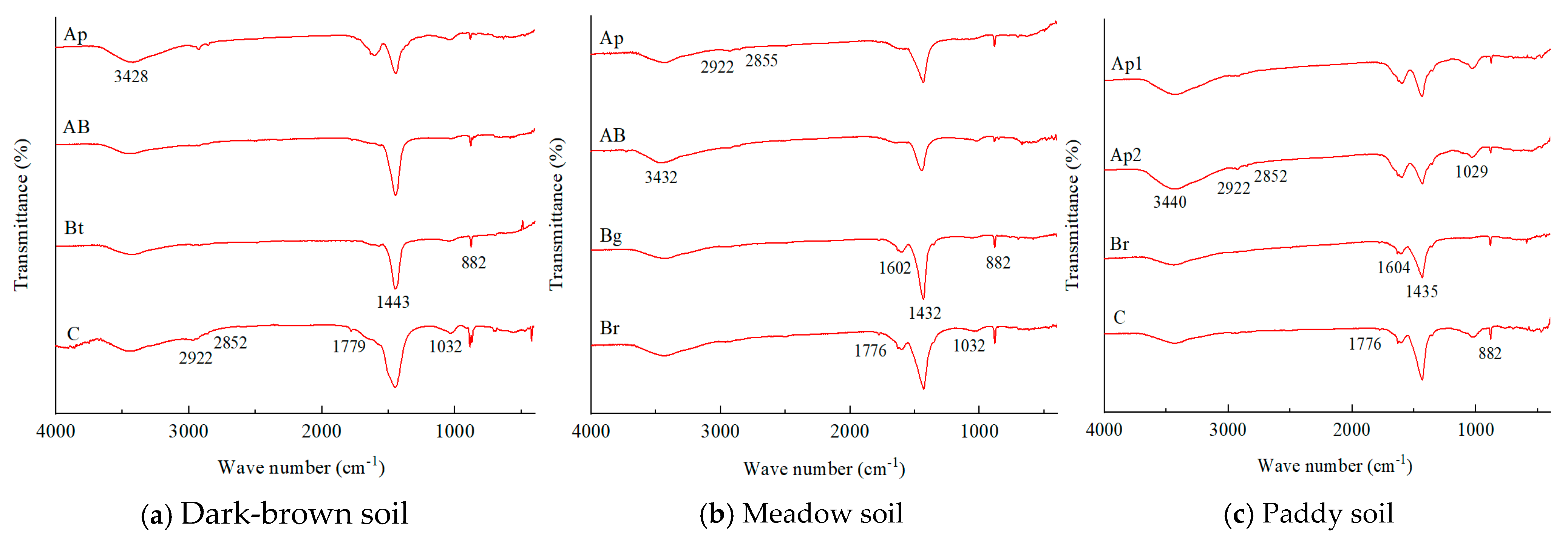 Agronomy 15 02108 g004 Agronomy 15 02108 g004