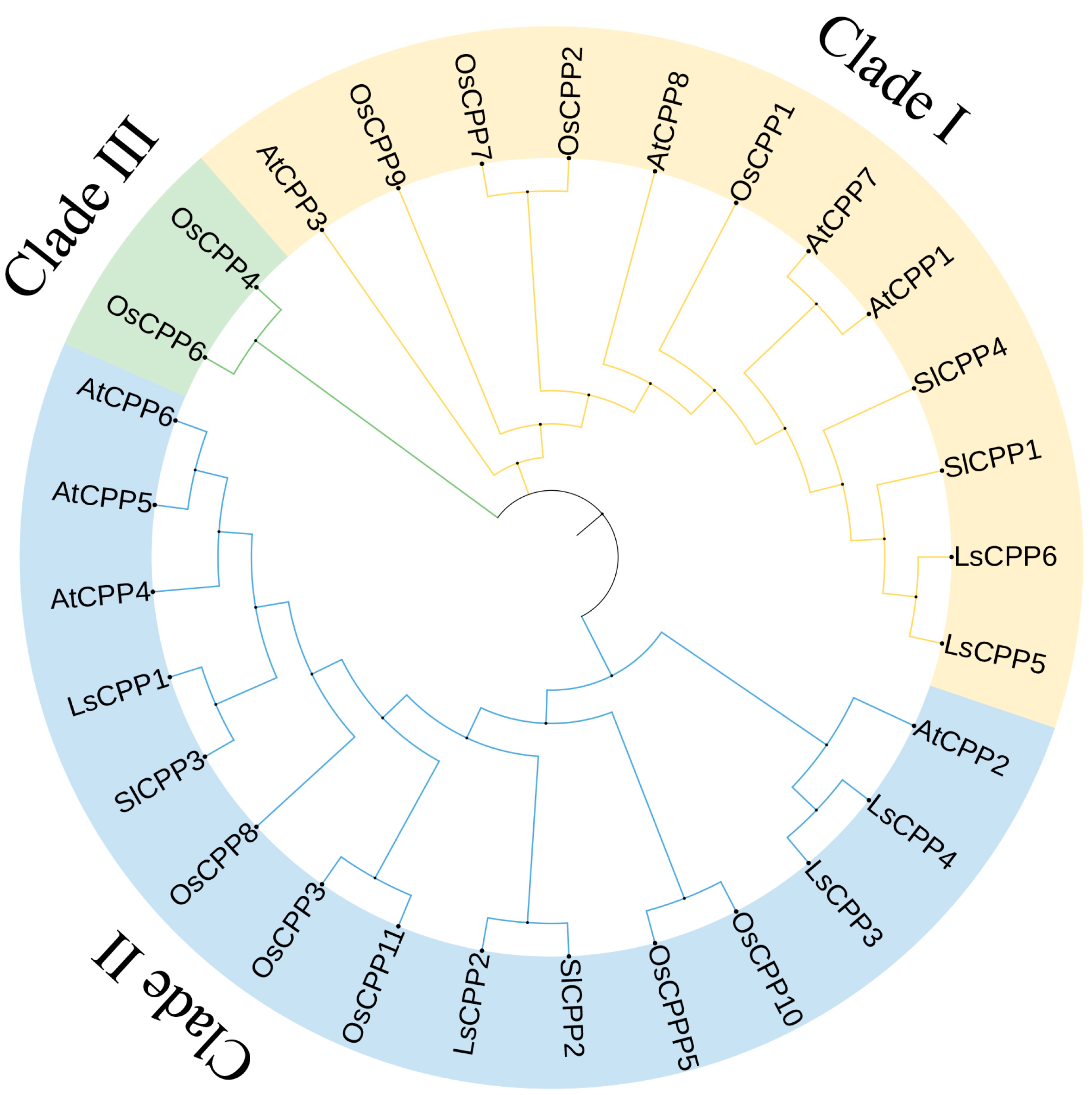 Agronomy 15 02120 g001 Agronomy 15 02120 g001