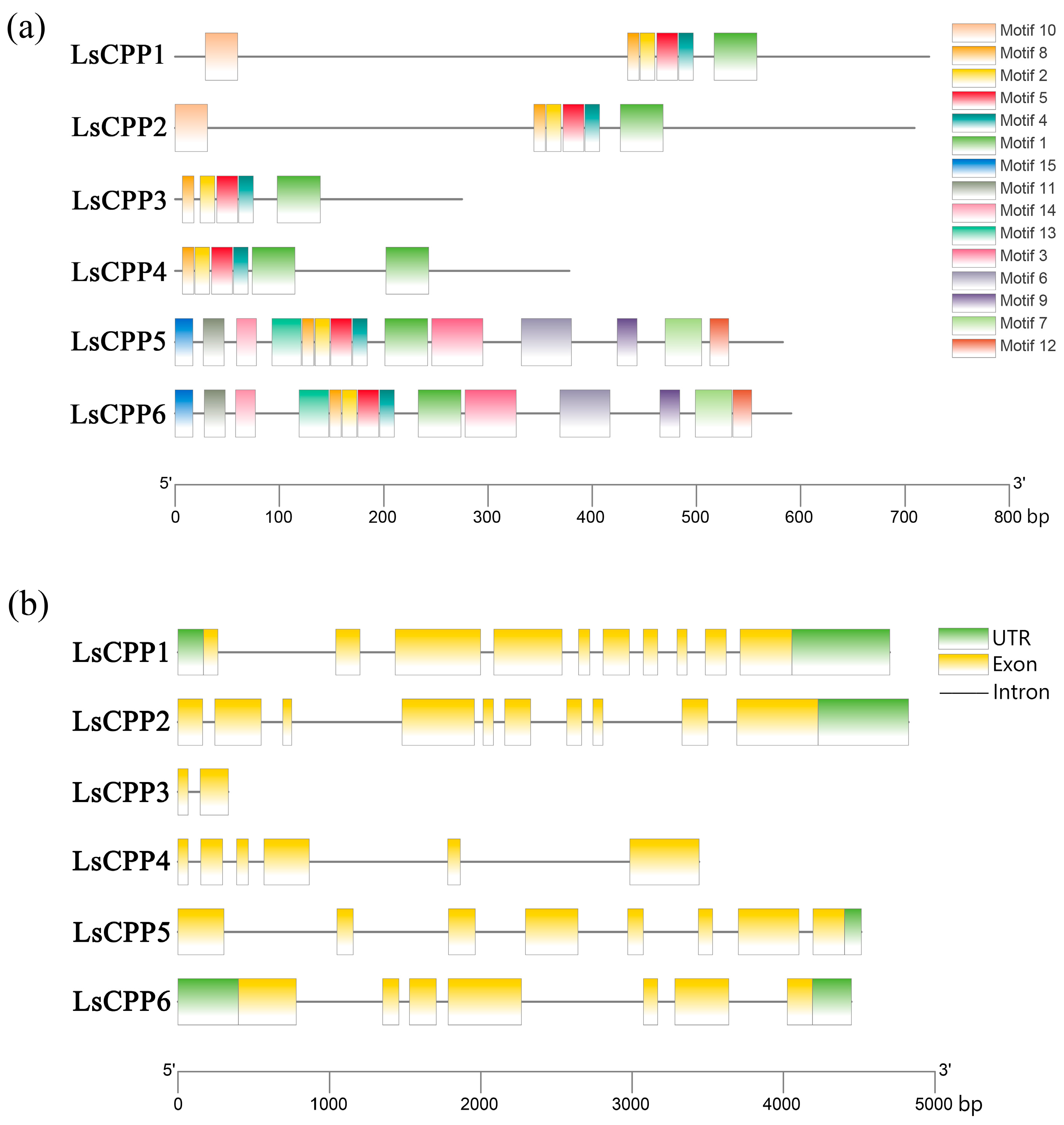 Agronomy 15 02120 g003 Agronomy 15 02120 g003