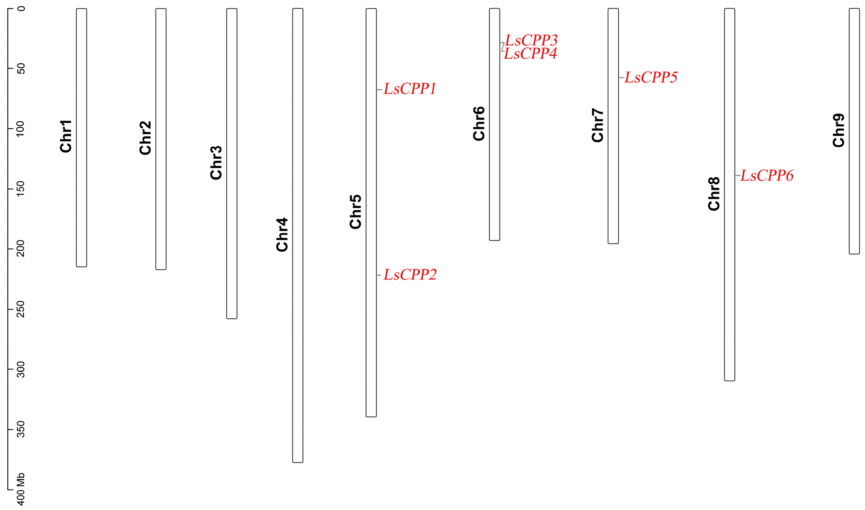 Agronomy 15 02120 g006 Agronomy 15 02120 g006